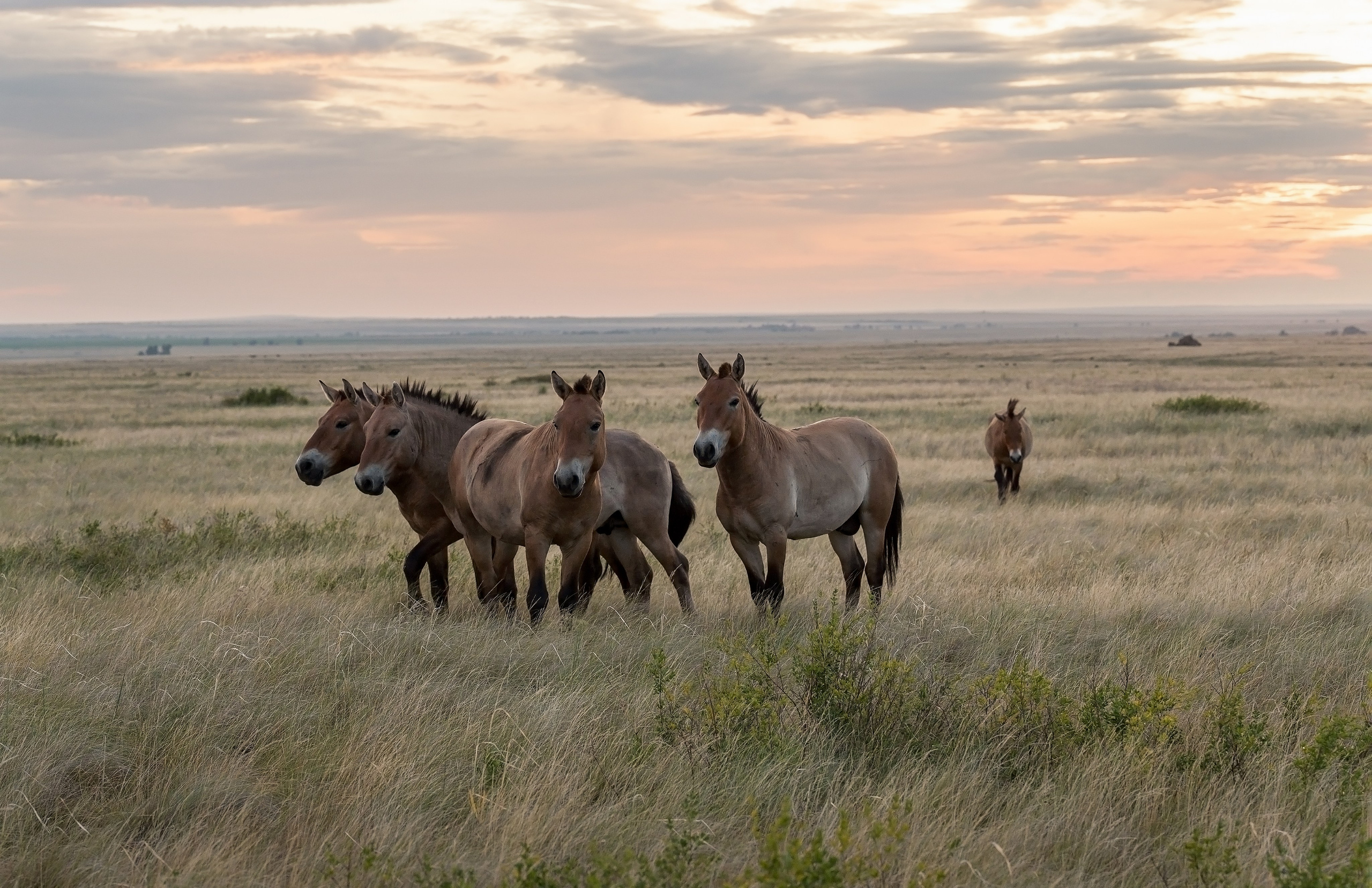Оренбуржье. Портретный фотограф в Челябинске Катерина Руди