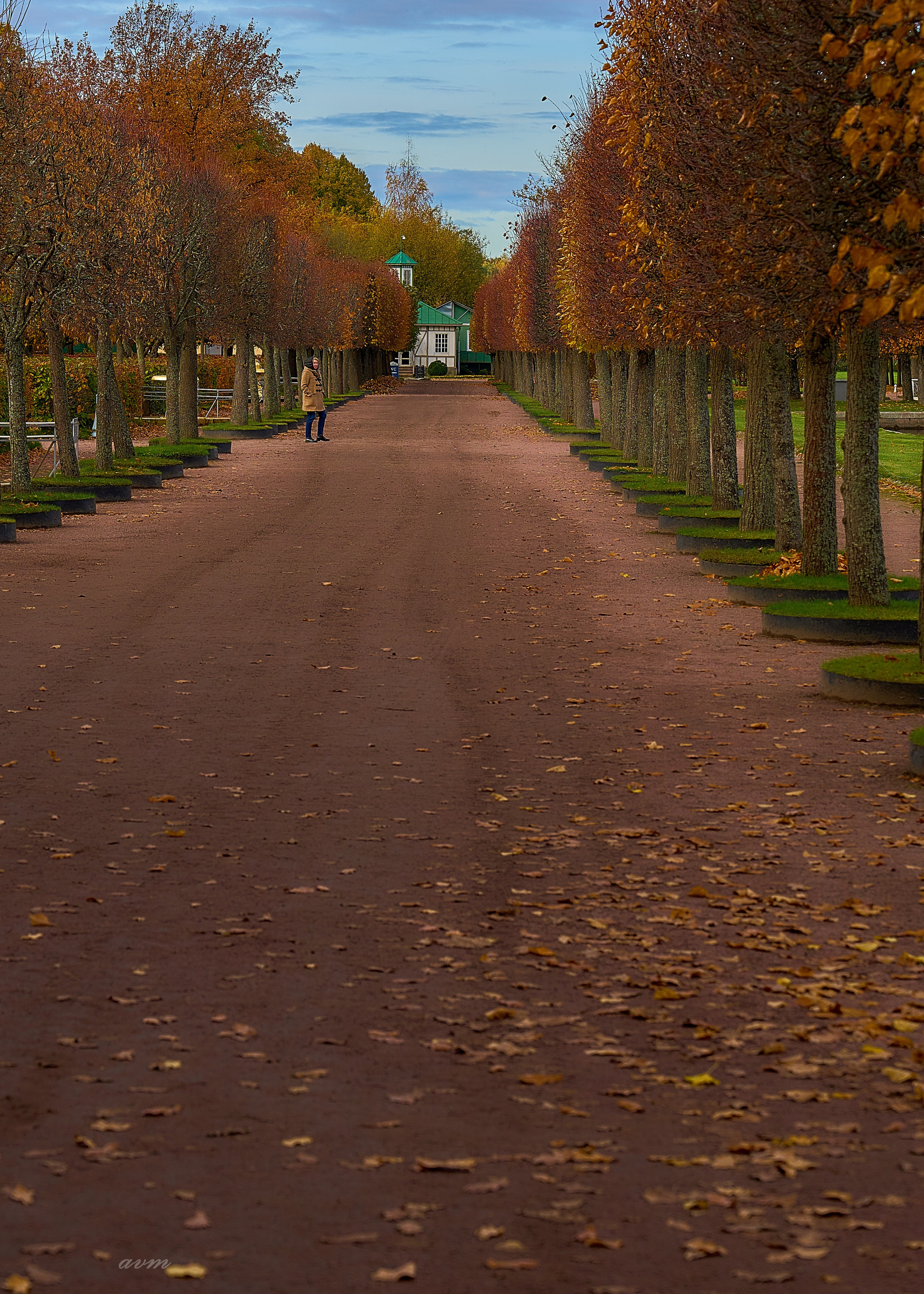 Петергоф. Фотограф Михеев Андрей