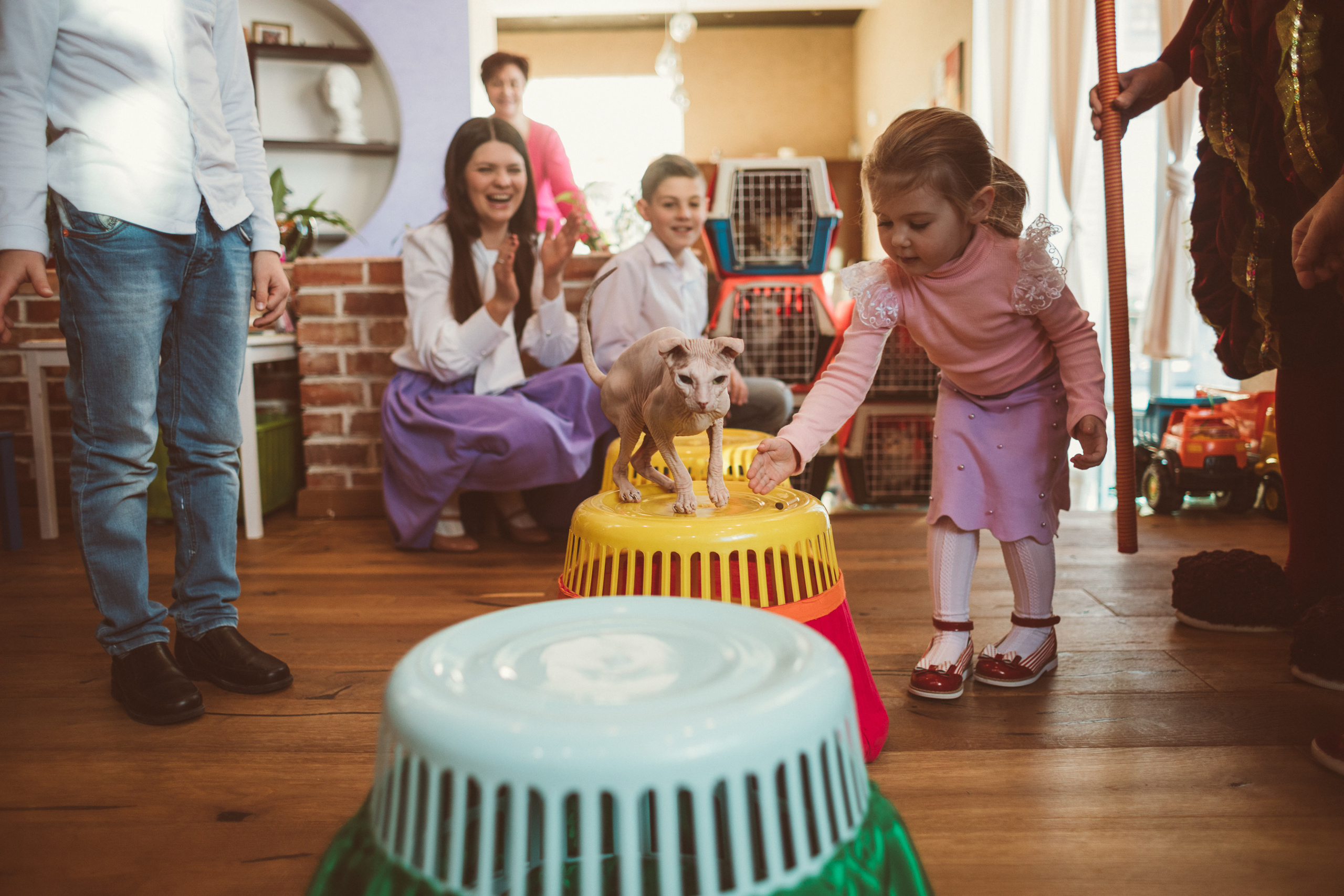 АГАТА И КОТИКИ | ДЕНЬ РОЖДЕНИЯ 3 ГОДИКА. Фотограф Наташа Румянцева