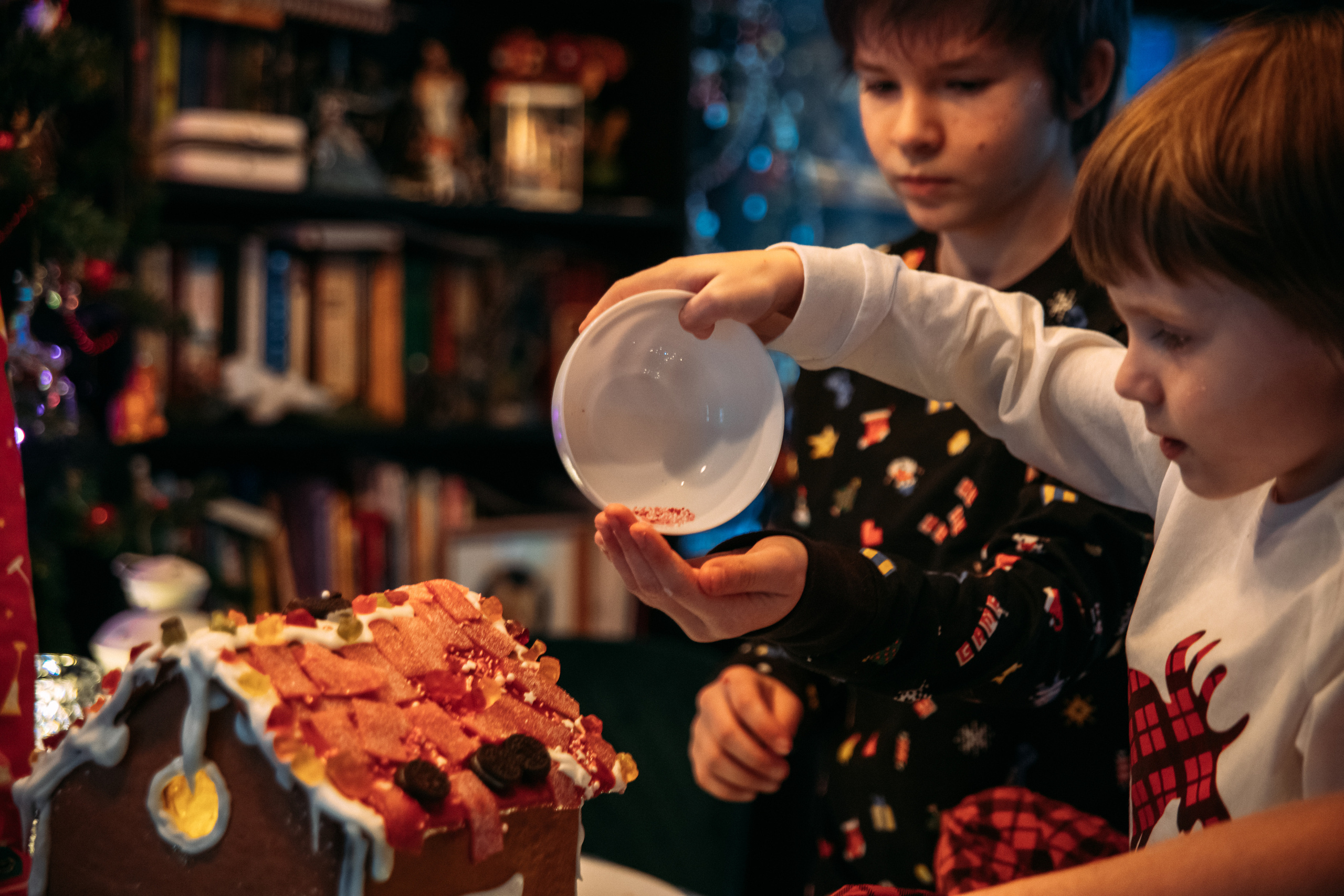 COMING HOME FOR CHRISTMAS. Фотограф Наташа Румянцева