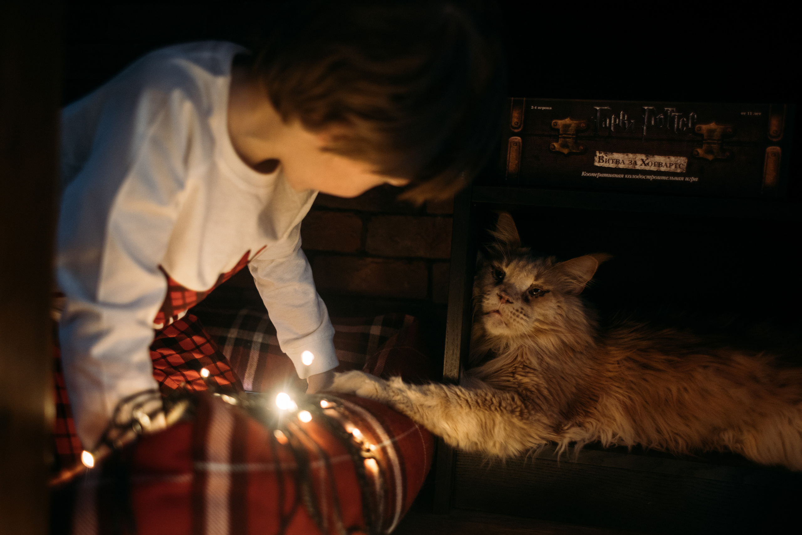 COMING HOME FOR CHRISTMAS. Фотограф Наташа Румянцева