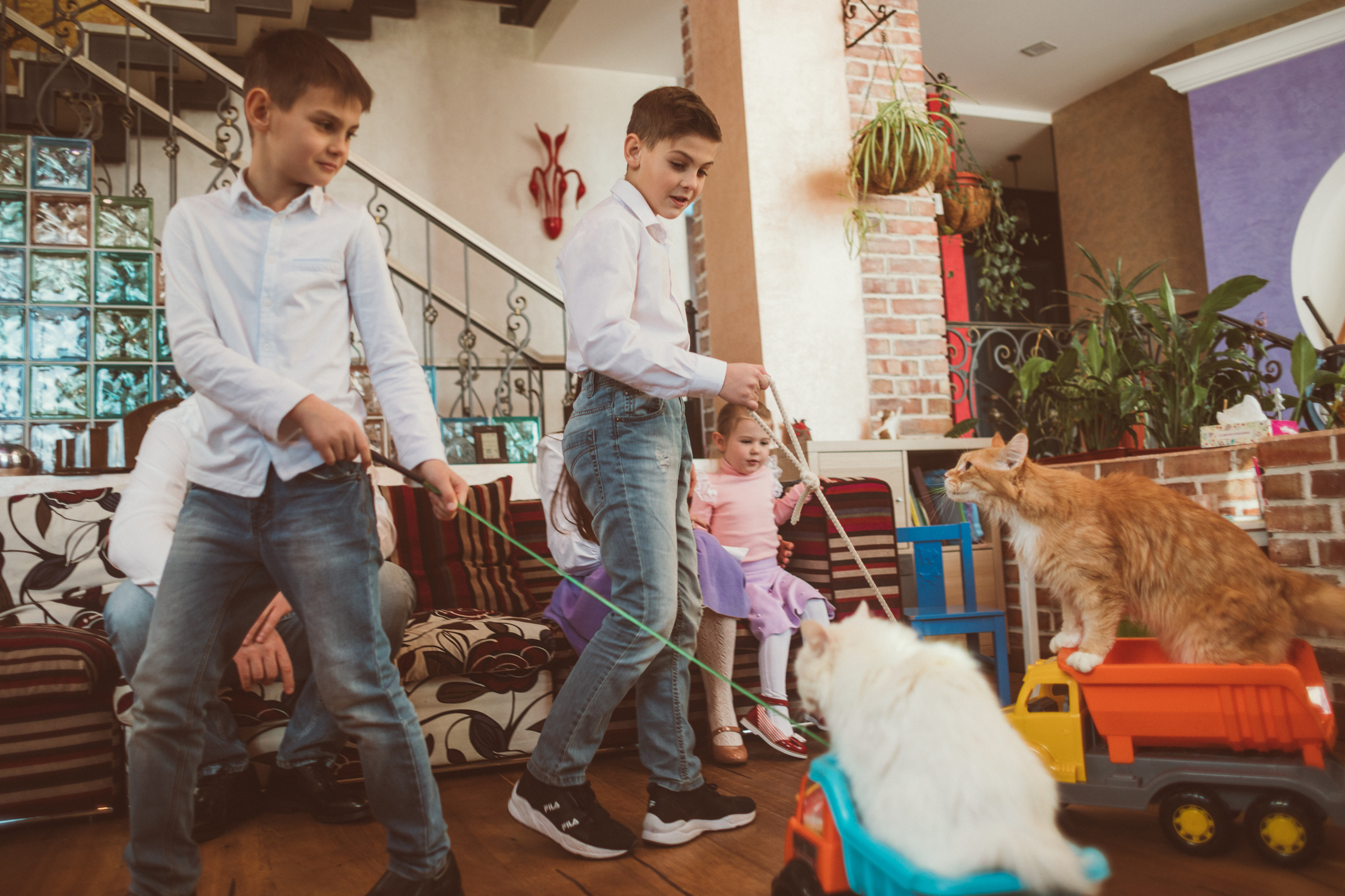 АГАТА И КОТИКИ | ДЕНЬ РОЖДЕНИЯ 3 ГОДИКА. Фотограф Наташа Румянцева