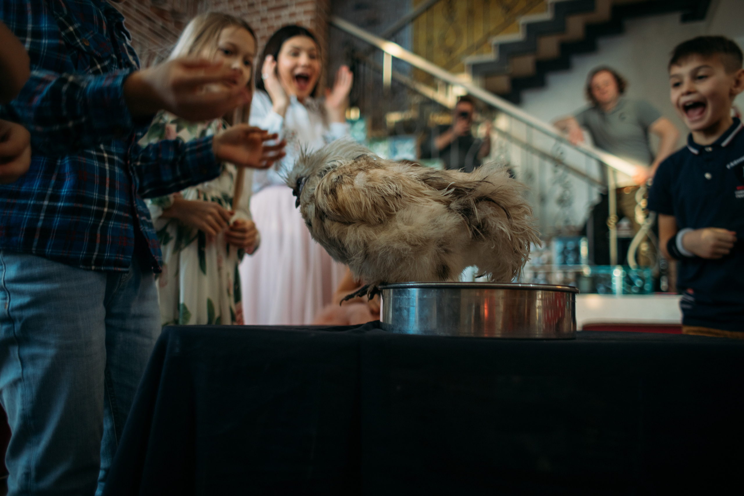 АГАТА 4 ГОДИКА. Фотограф Наташа Румянцева