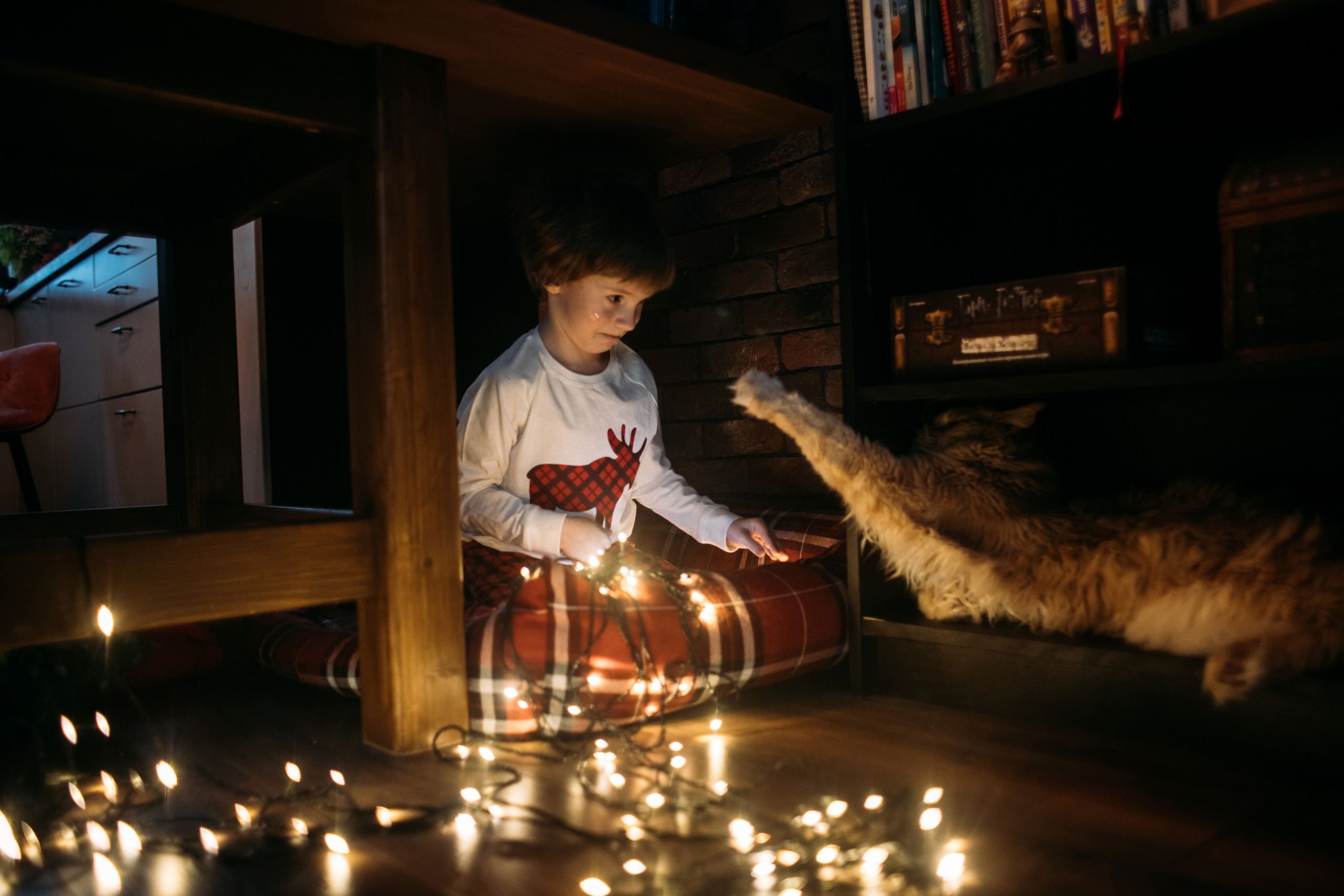 COMING HOME FOR CHRISTMAS. Фотограф Наташа Румянцева