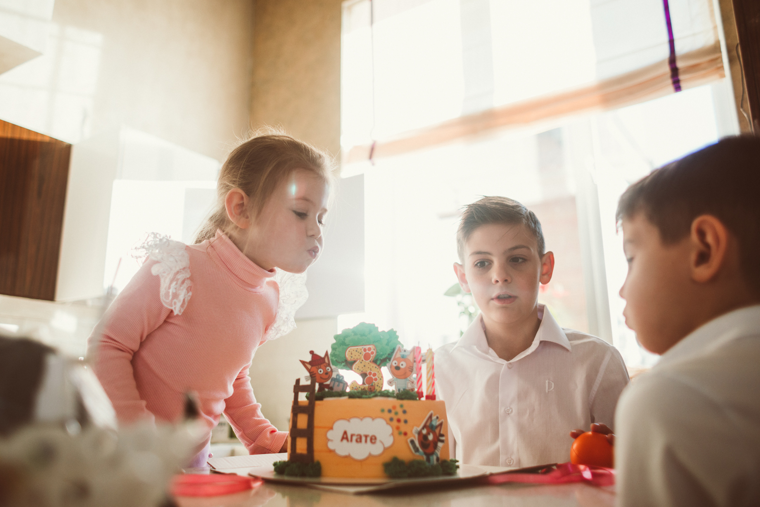 АГАТА И КОТИКИ | ДЕНЬ РОЖДЕНИЯ 3 ГОДИКА. Фотограф Наташа Румянцева