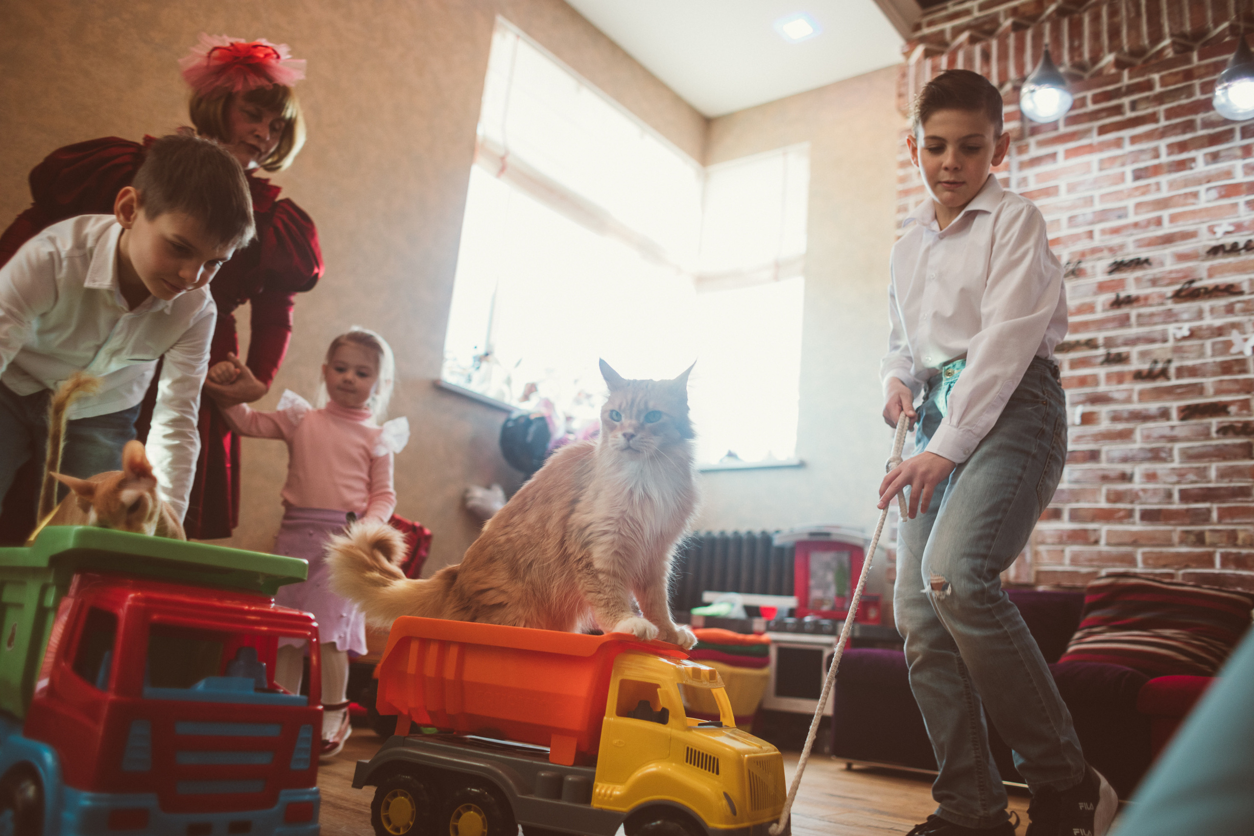 АГАТА И КОТИКИ | ДЕНЬ РОЖДЕНИЯ 3 ГОДИКА. Фотограф Наташа Румянцева