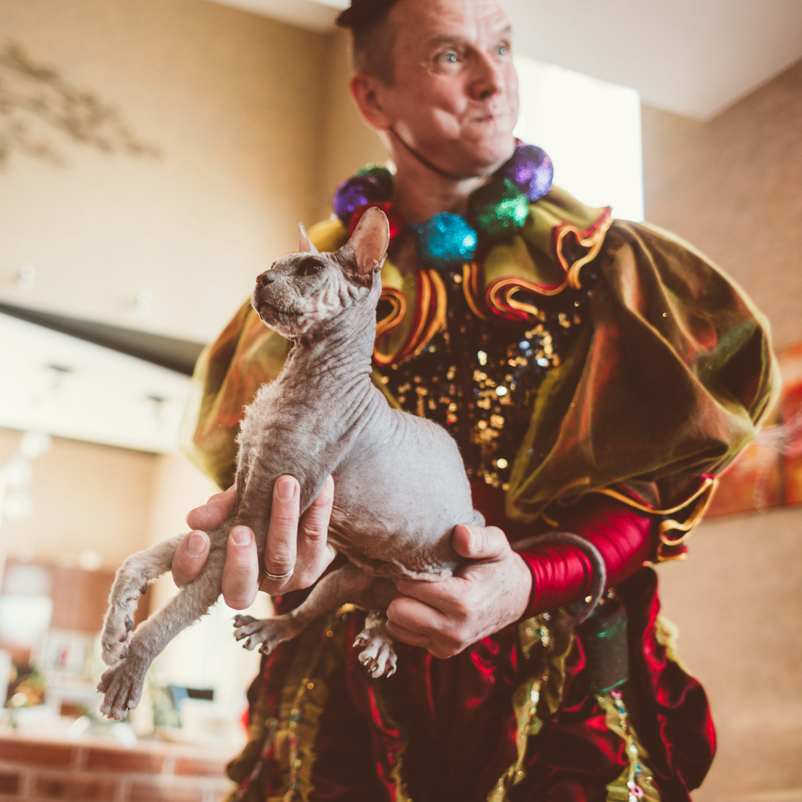 АГАТА И КОТИКИ | ДЕНЬ РОЖДЕНИЯ 3 ГОДИКА. Фотограф Наташа Румянцева