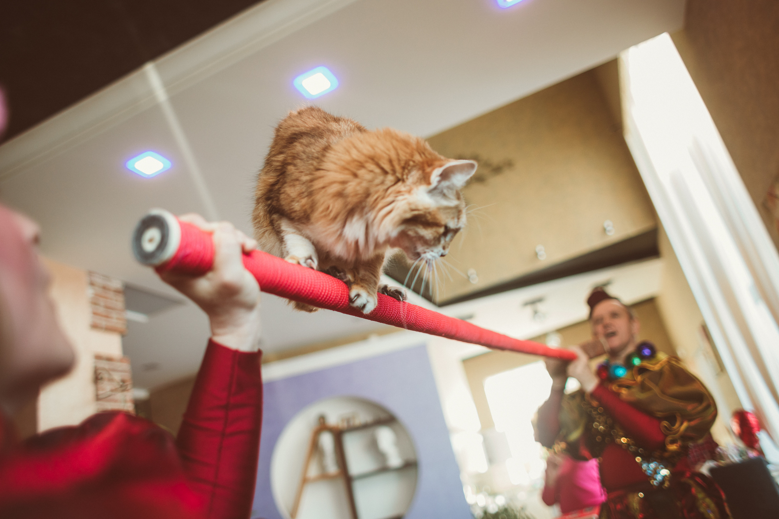 АГАТА И КОТИКИ | ДЕНЬ РОЖДЕНИЯ 3 ГОДИКА. Фотограф Наташа Румянцева