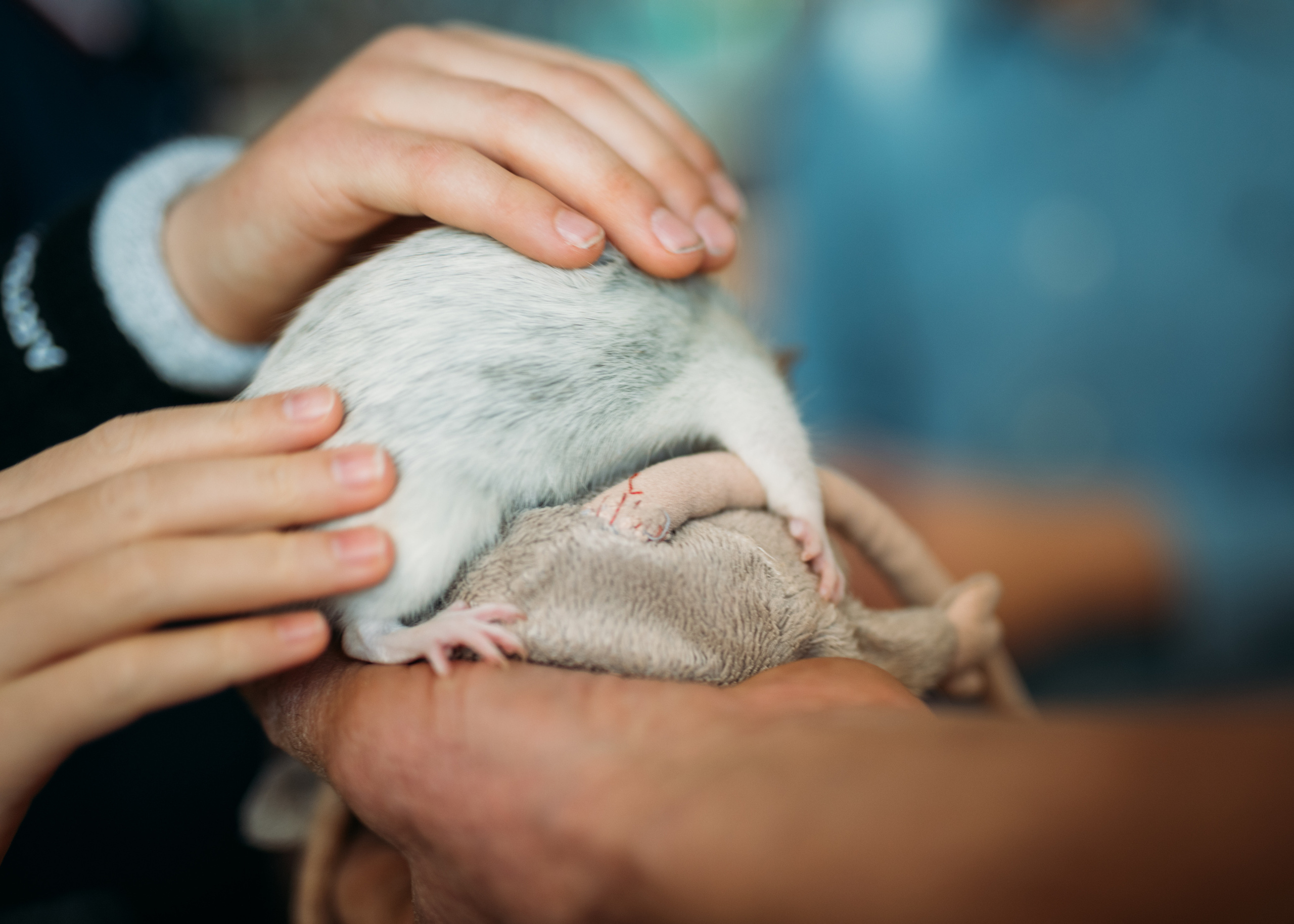 АГАТА 4 ГОДИКА. Фотограф Наташа Румянцева