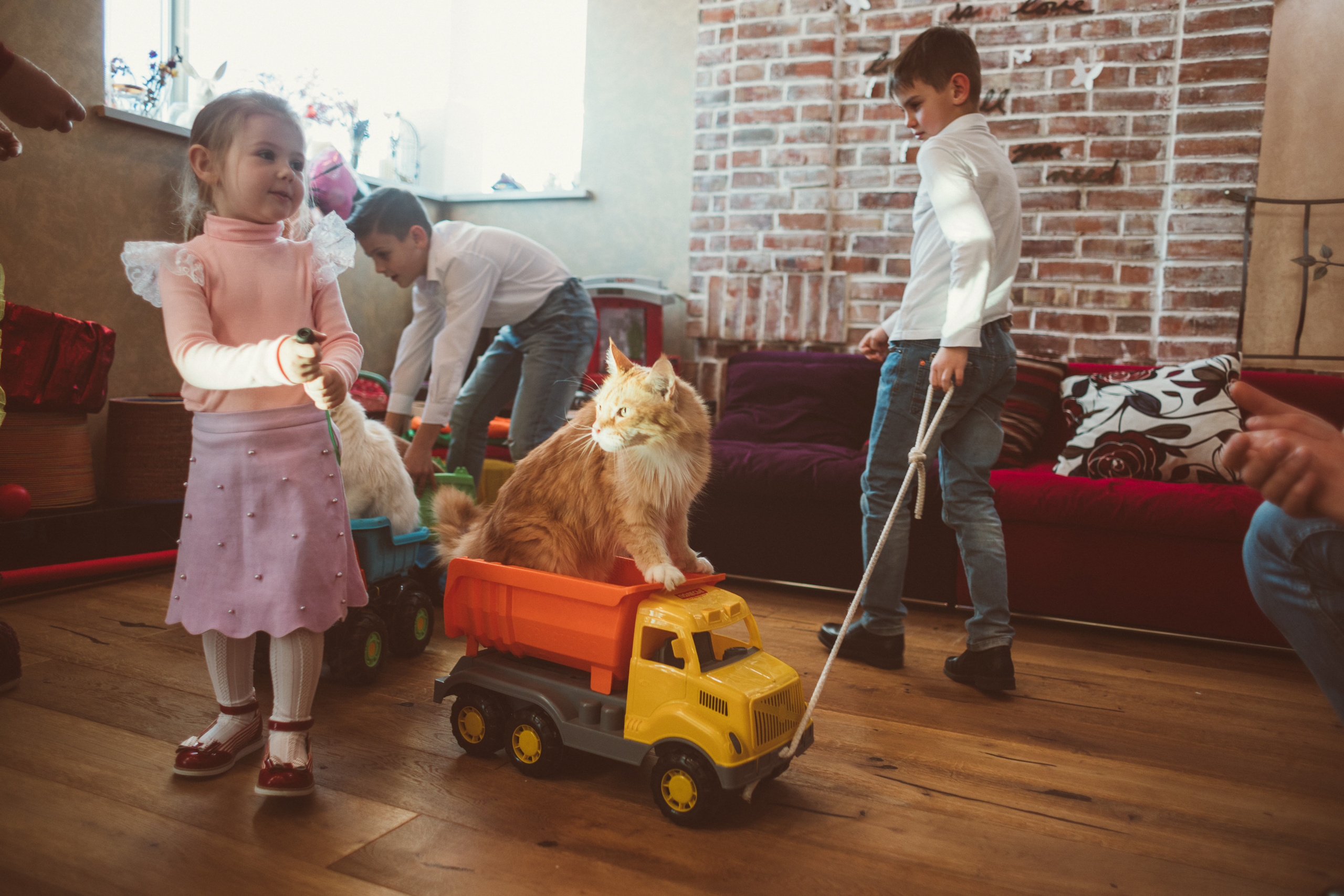 АГАТА И КОТИКИ | ДЕНЬ РОЖДЕНИЯ 3 ГОДИКА. Фотограф Наташа Румянцева