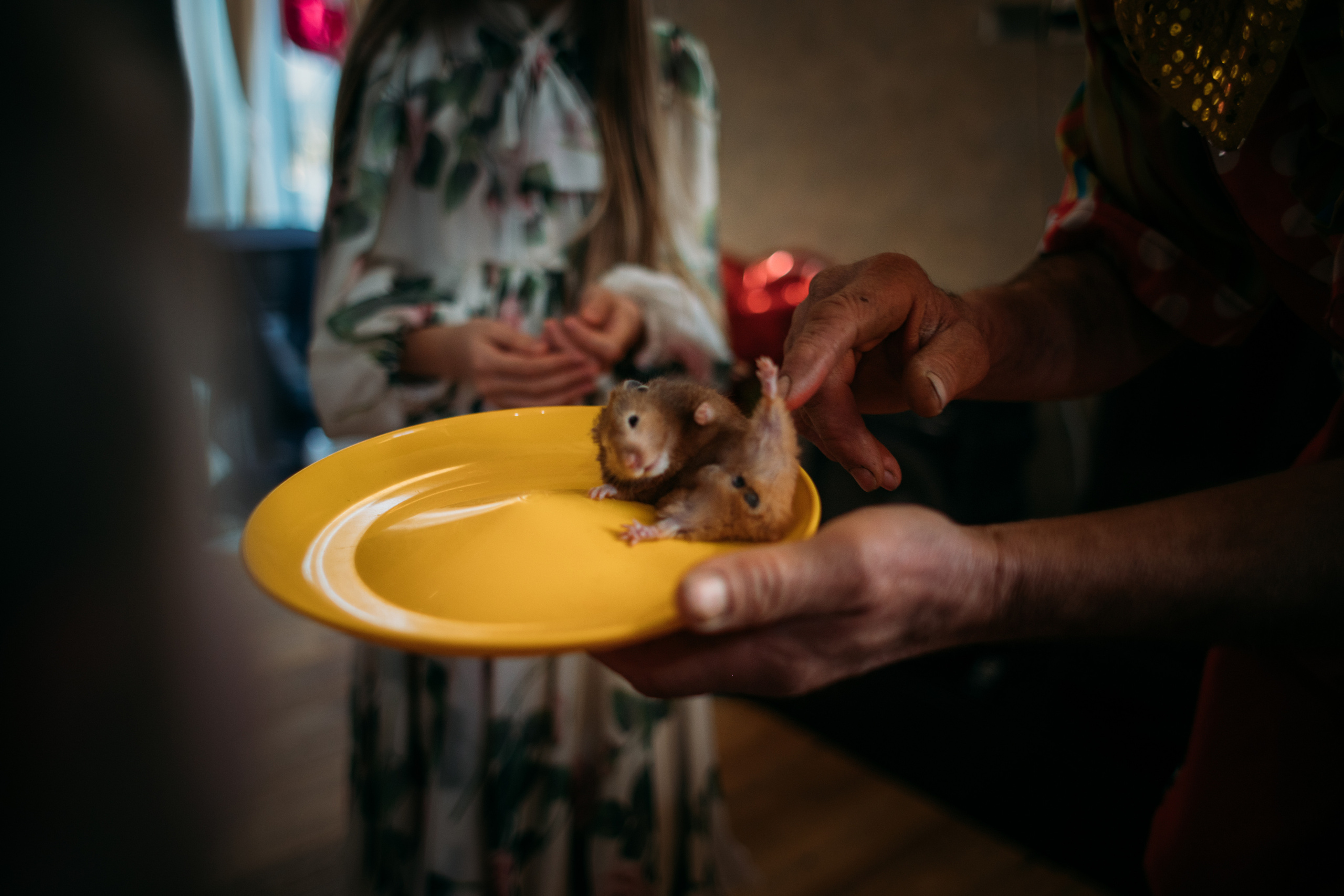 АГАТА 4 ГОДИКА. Фотограф Наташа Румянцева