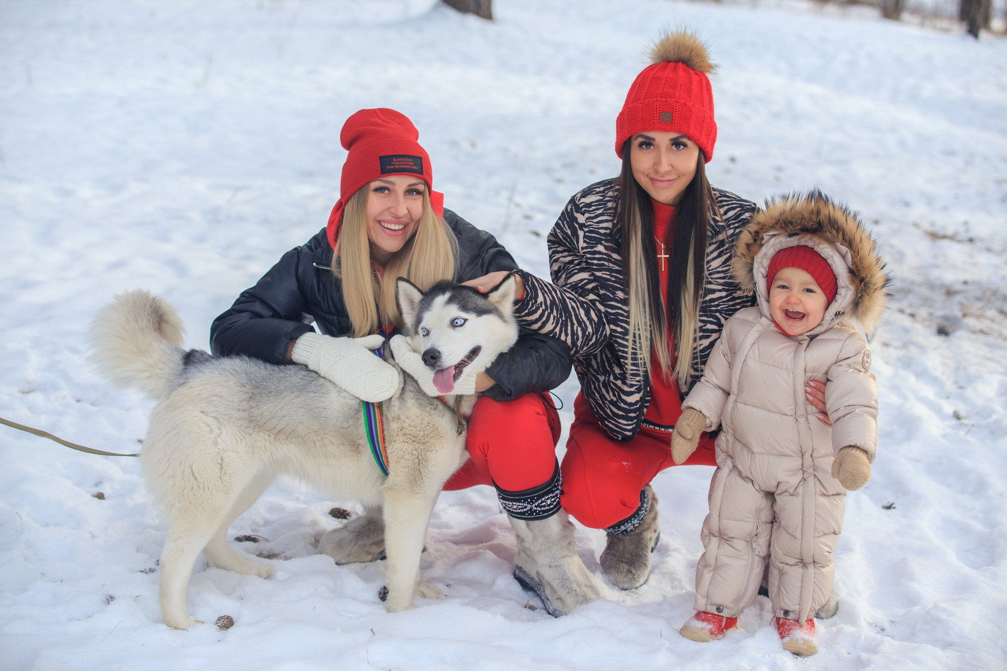 Фотосессия с хаски Иркутск. Фотограф видеограф Иркутск фото видео студия Алексея Марамзина
