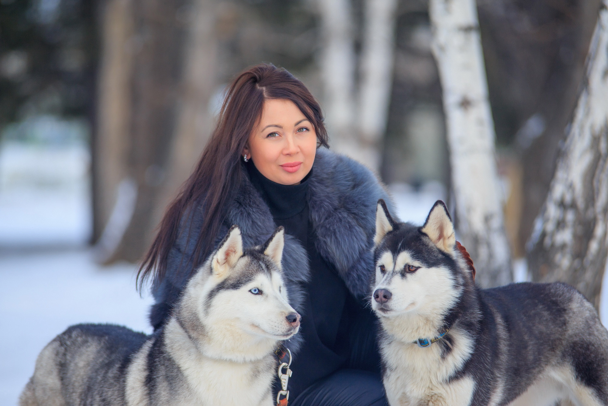 Фотосессия с хаски Иркутск. Фотограф видеограф Иркутск фото видео студия Алексея Марамзина
