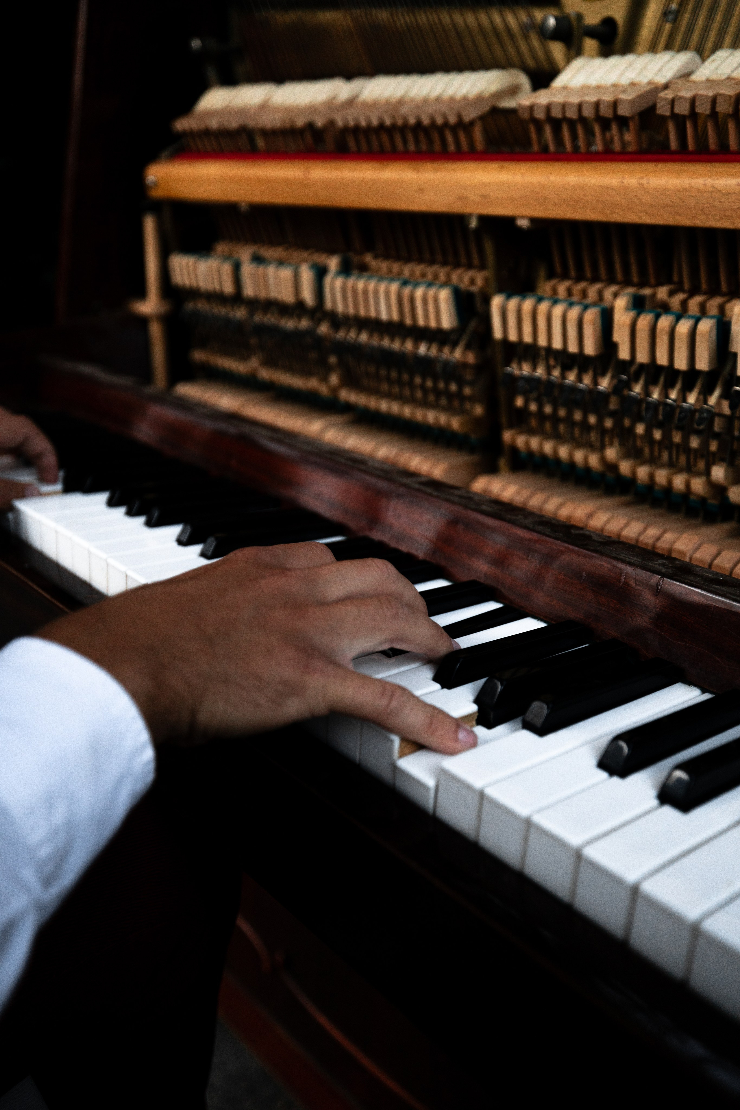 Villa Elena. Дженбаз Павел — фотограф в Ялте