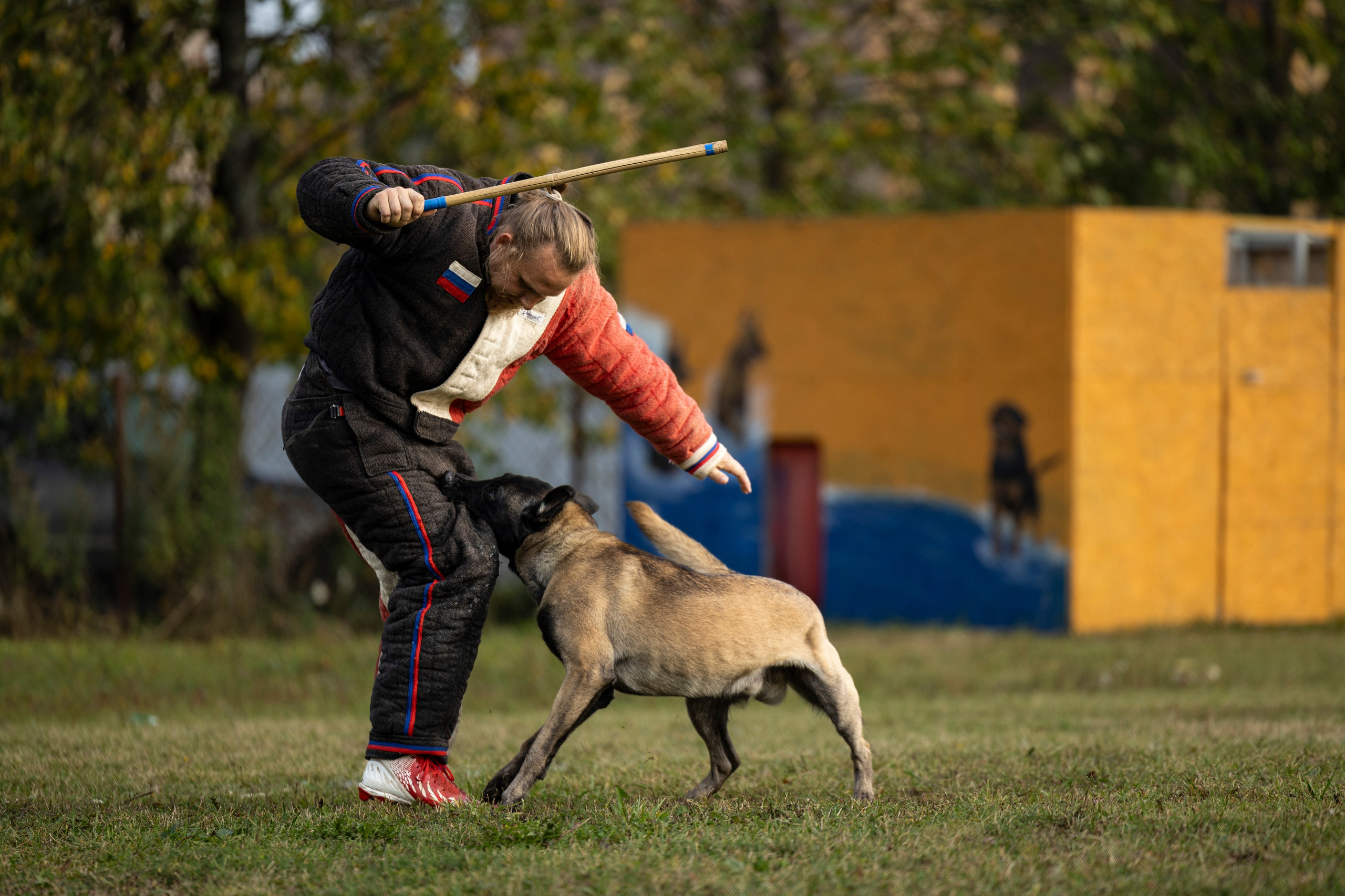Испытания по Мондьорингу г. Пушкин. Фотограф-анималист Анна Маринич