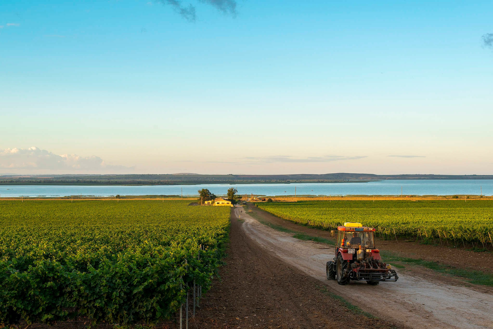 Винодельни Краснодарского края. Фотограф Михаил Мордасов, Сочи. Мероприятия, портреты, спорт, репортаж