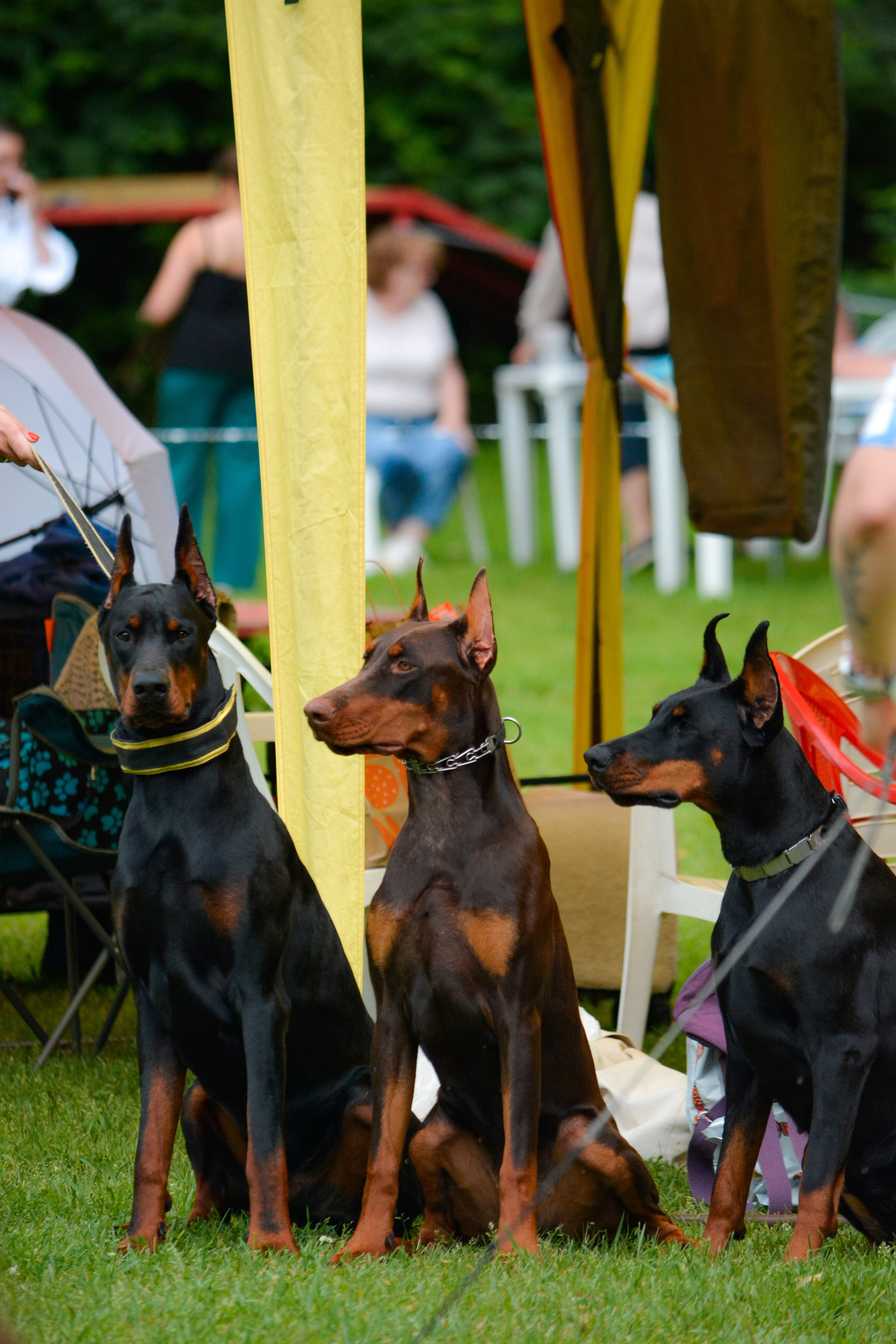 Reportage & Events. Фотограф Евгения Саботаж в г. Москва