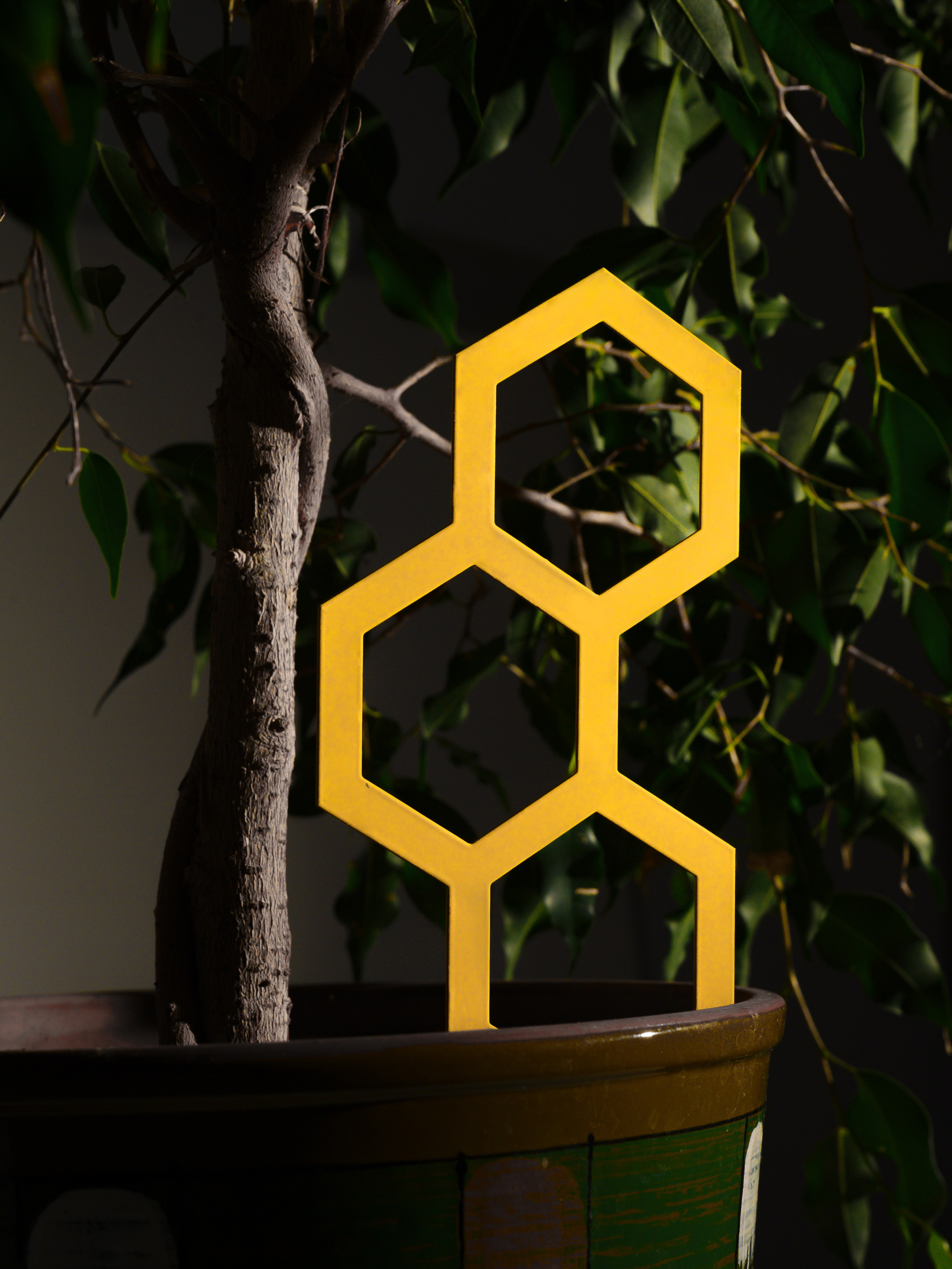 Декор для сада и цветов. Семейный, свадебный и репортажный фотограф в Москве Анастасия Светлова