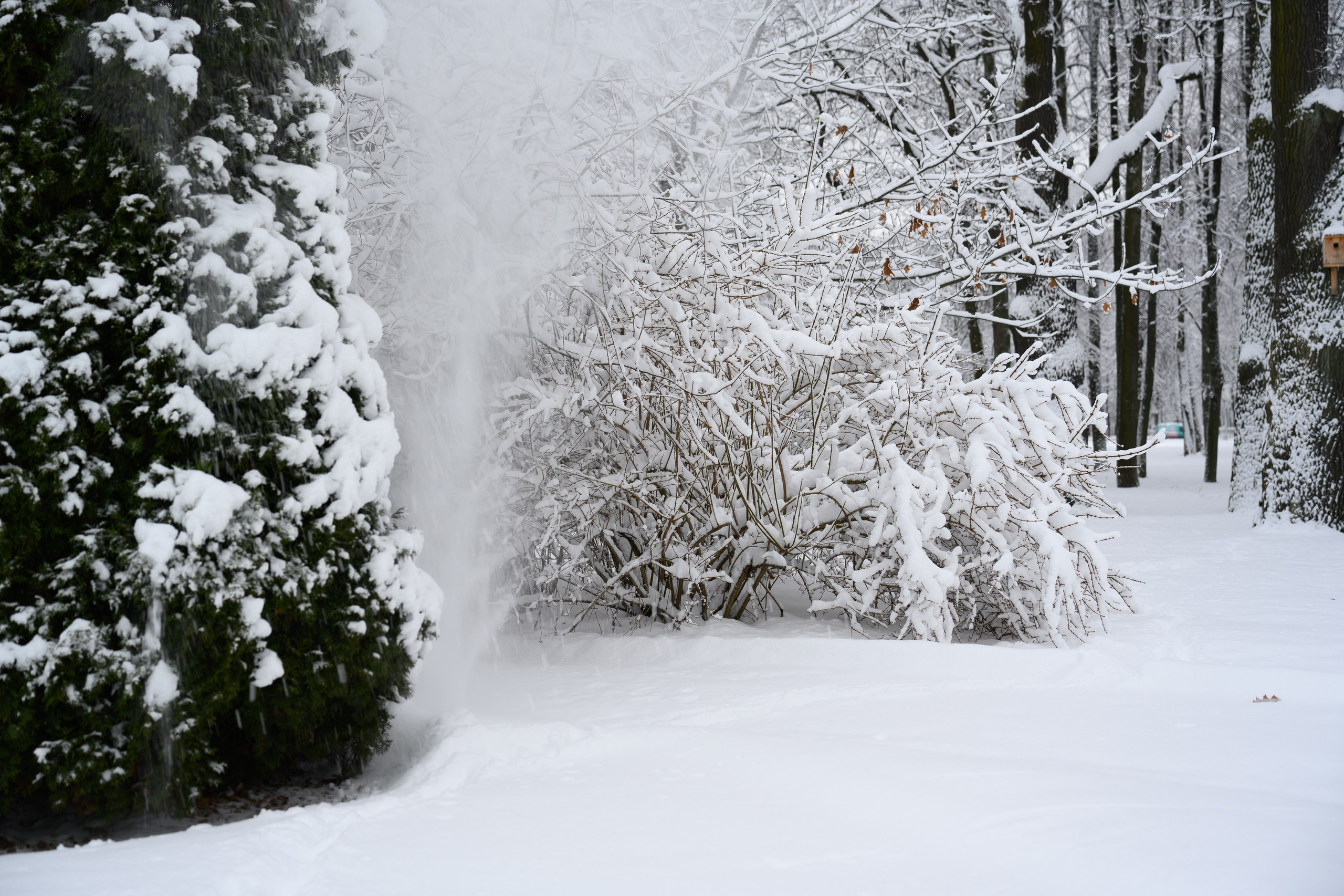 Landscape, nature, plants, details of the world around us. Personal website of photographer Dmitry Raikin