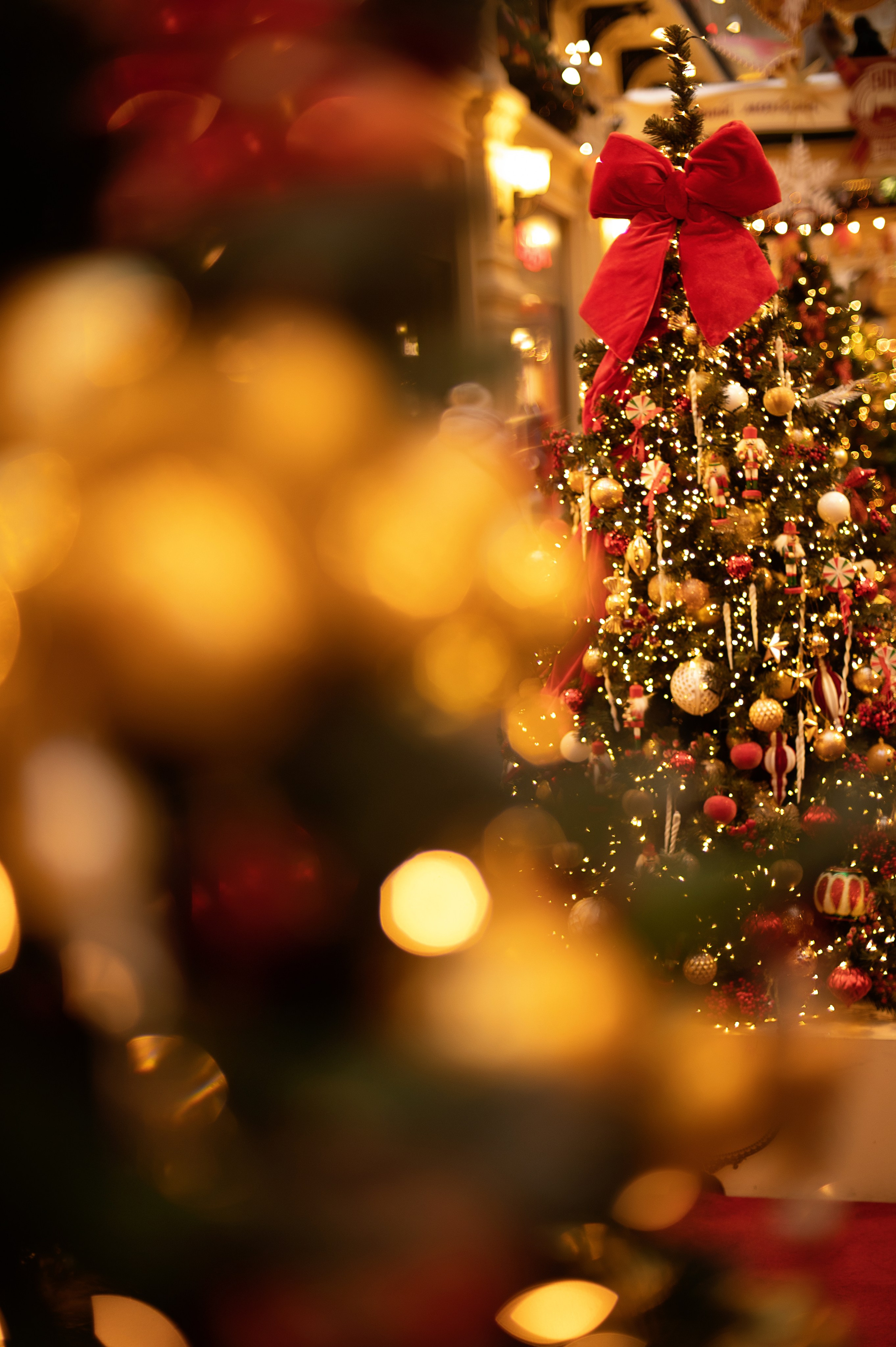 Новогодняя фотосессия Москва. Фотограф в Москве, Оксана Ребристая