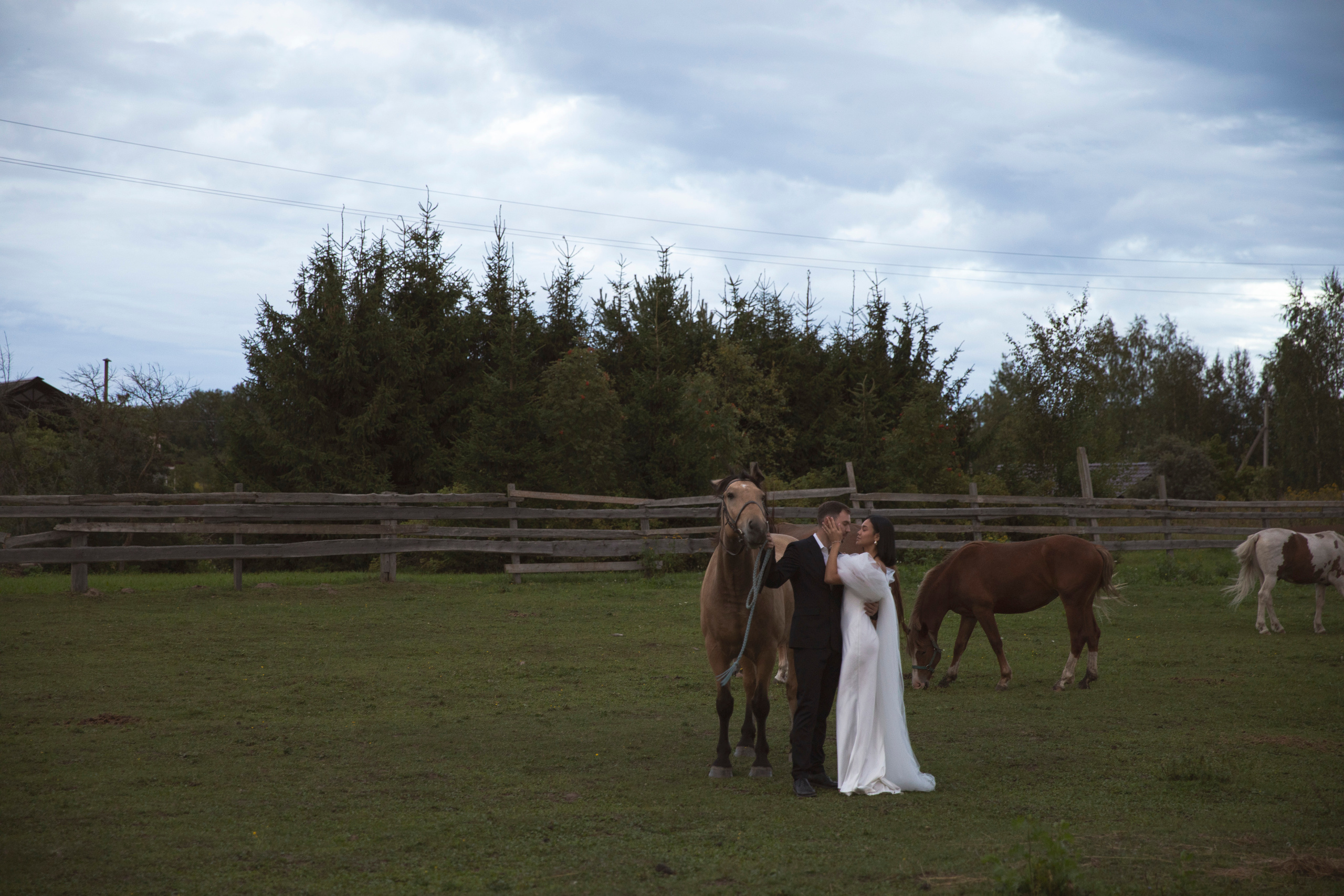 Валерия и Илья. Свадебный и портретный фотограф