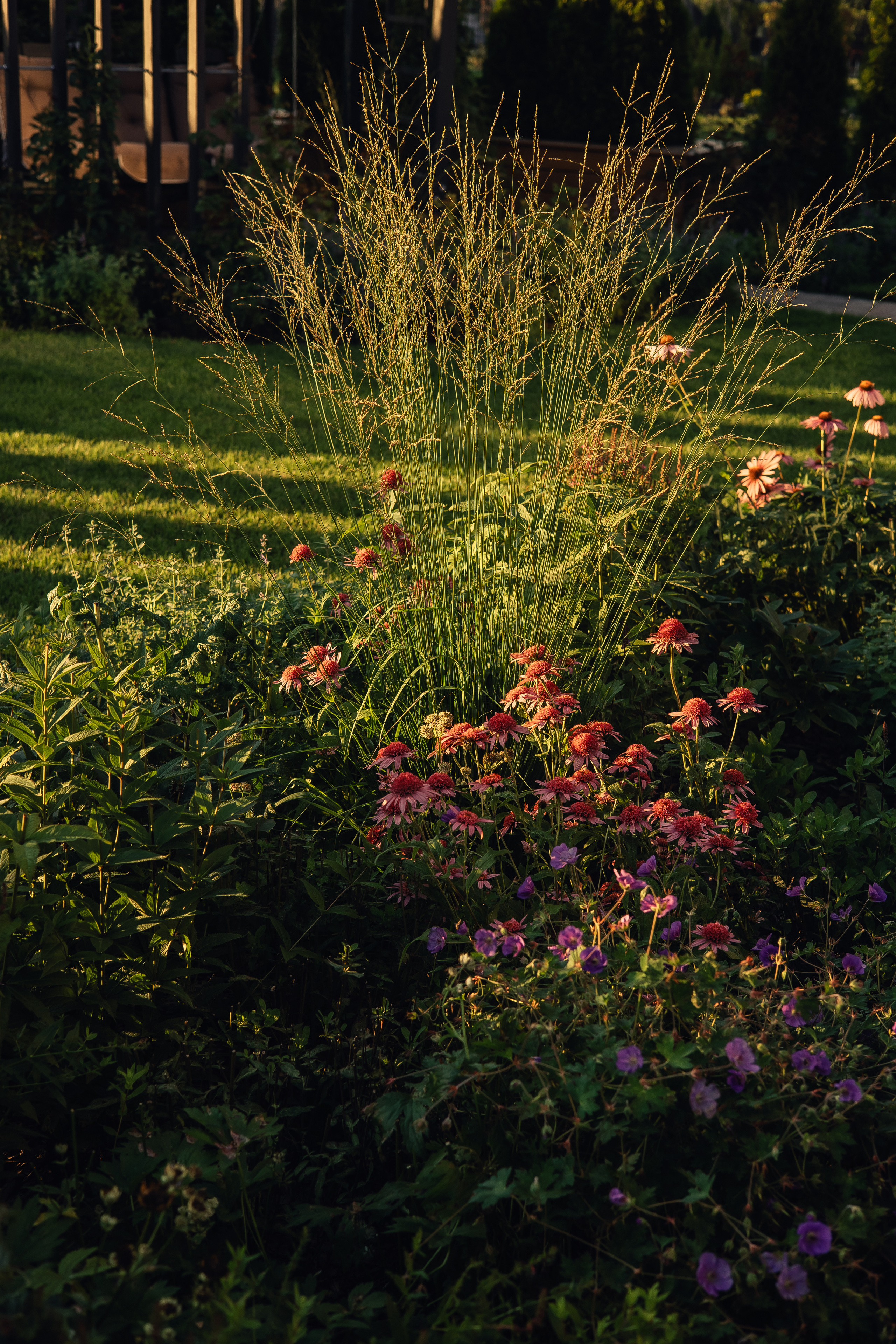 Съемка для ландшафтного архитектора Елизаветы Образцовой. Фотограф в Москве Наталья Спиридонова