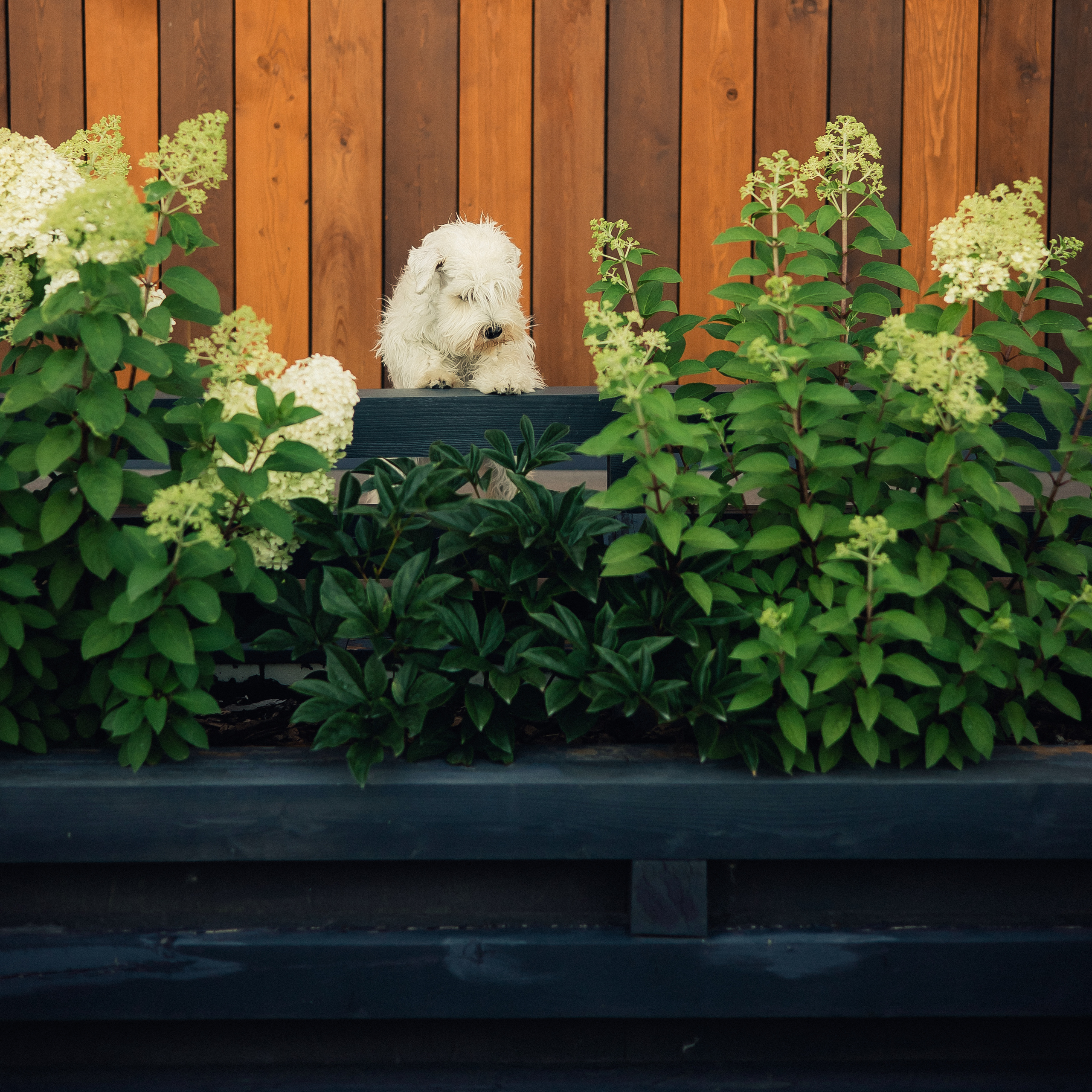 Съемка для ландшафтного архитектора Елизаветы Образцовой. Фотограф в Москве Наталья Спиридонова