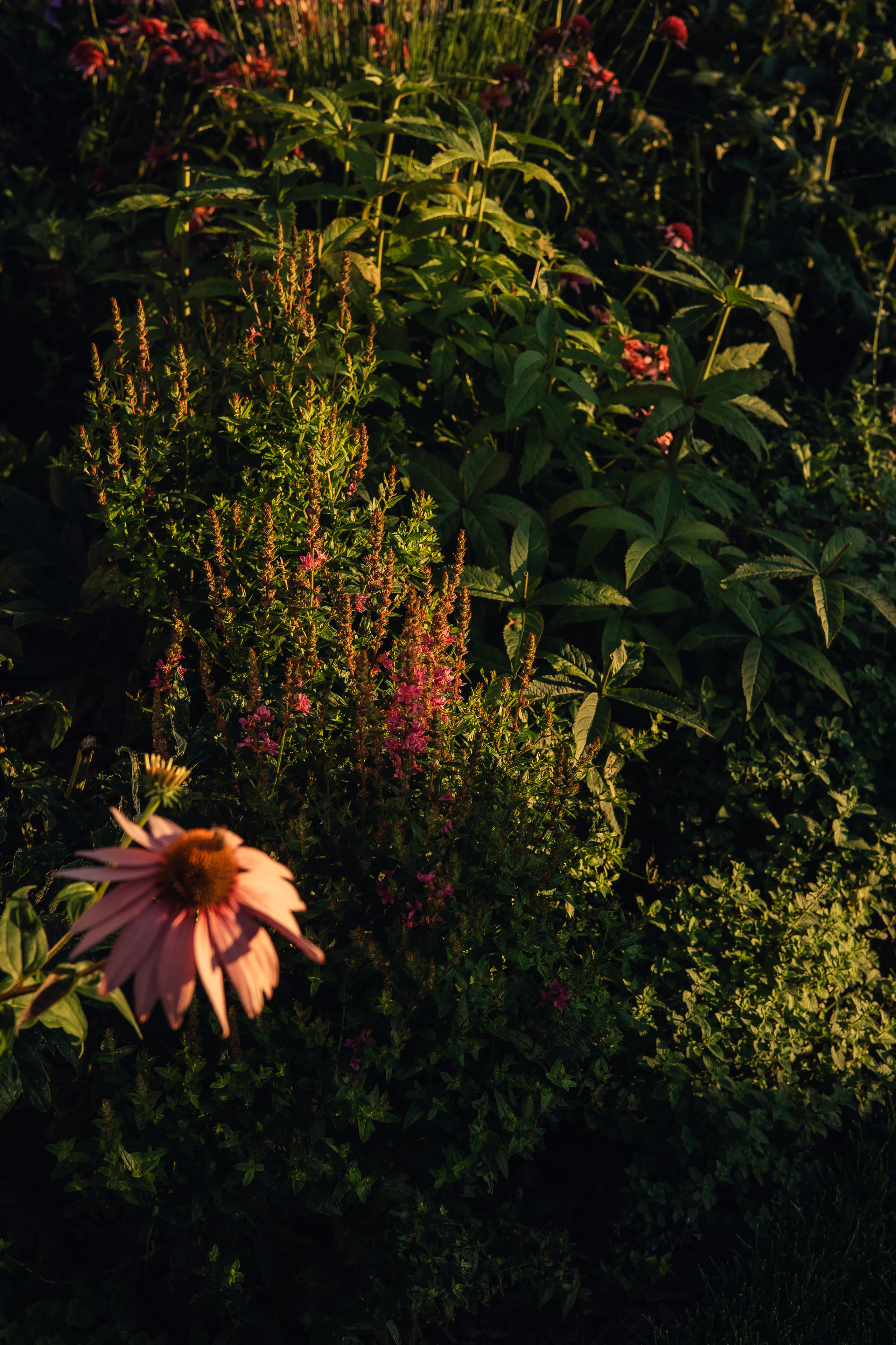 Съемка для ландшафтного архитектора Елизаветы Образцовой. Фотограф в Москве Наталья Спиридонова