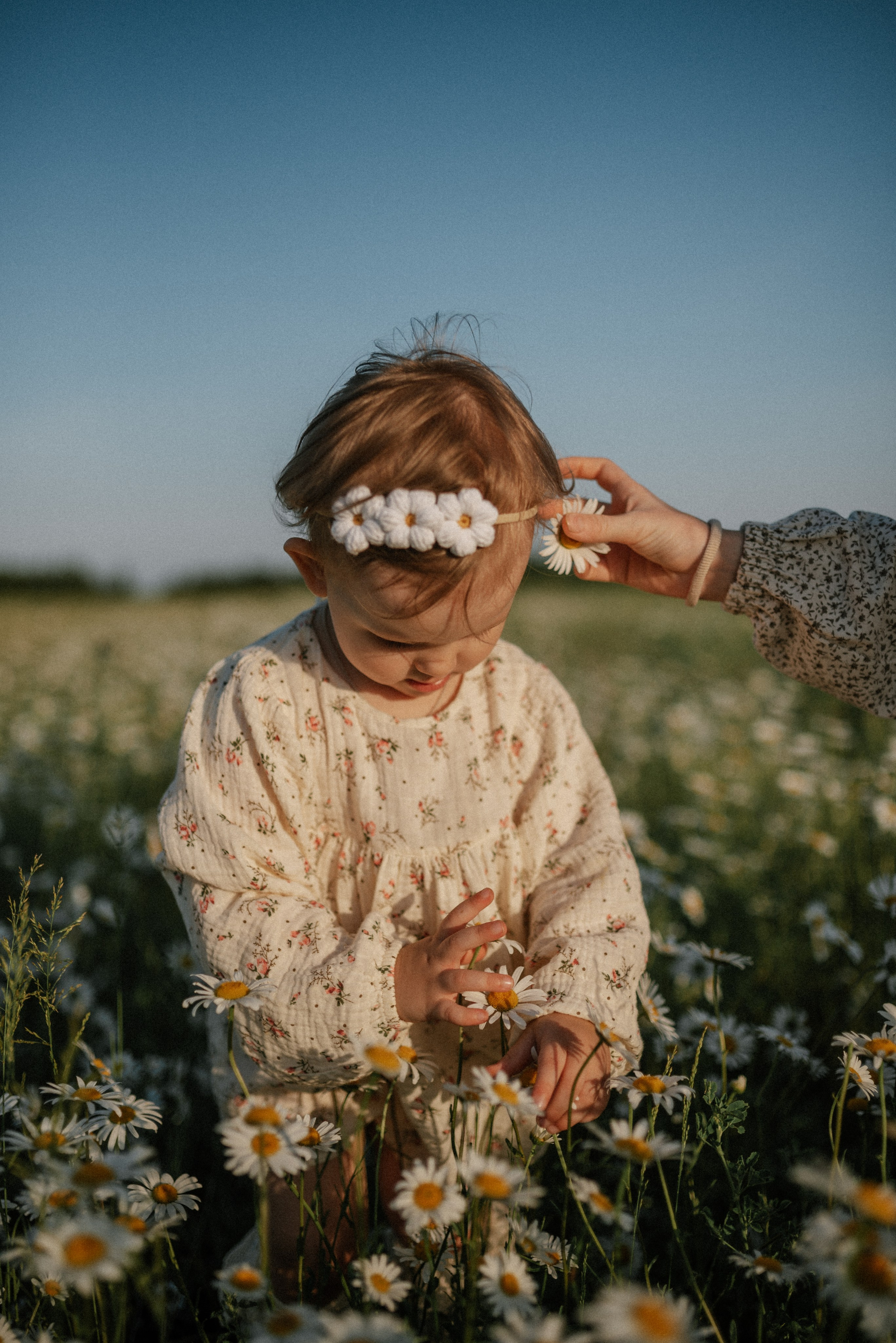 Ида, Мира и ромашки. Свадебный и семейный фотограф Кожевникова Лариса