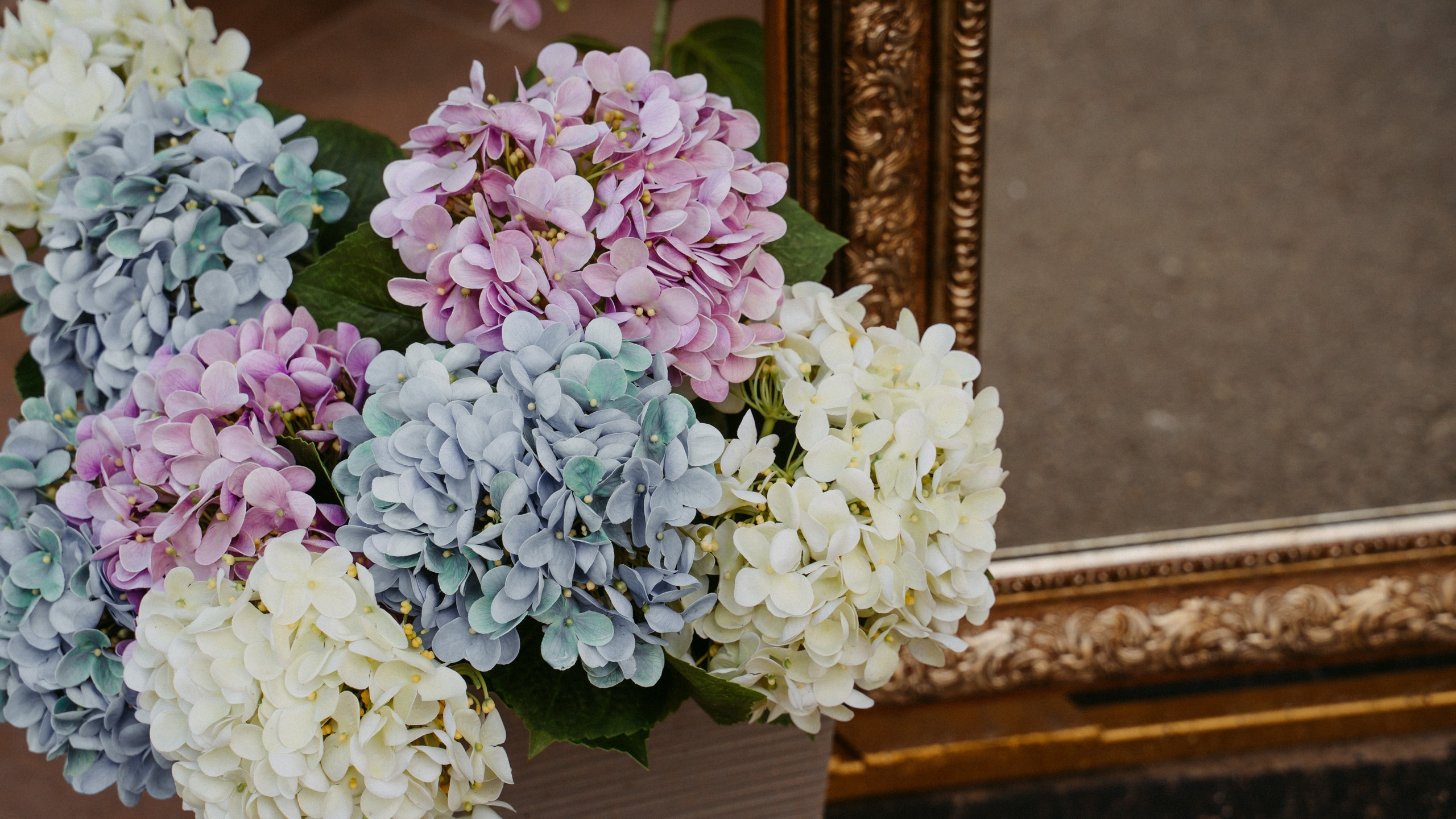 Florissimo x Enter. Саша Копылов, фотограф в Казани