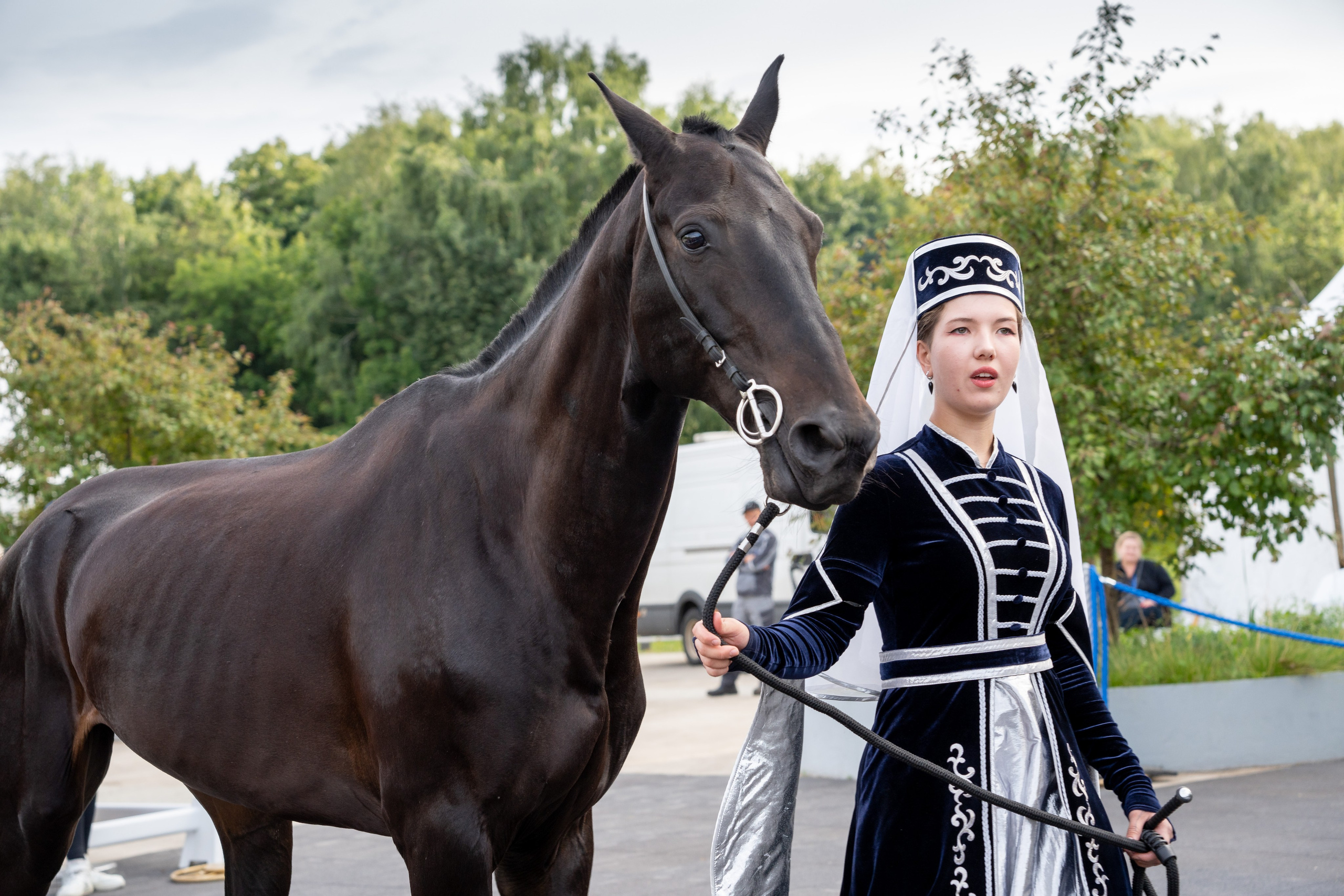 Животные. Фото, видео, монтаж