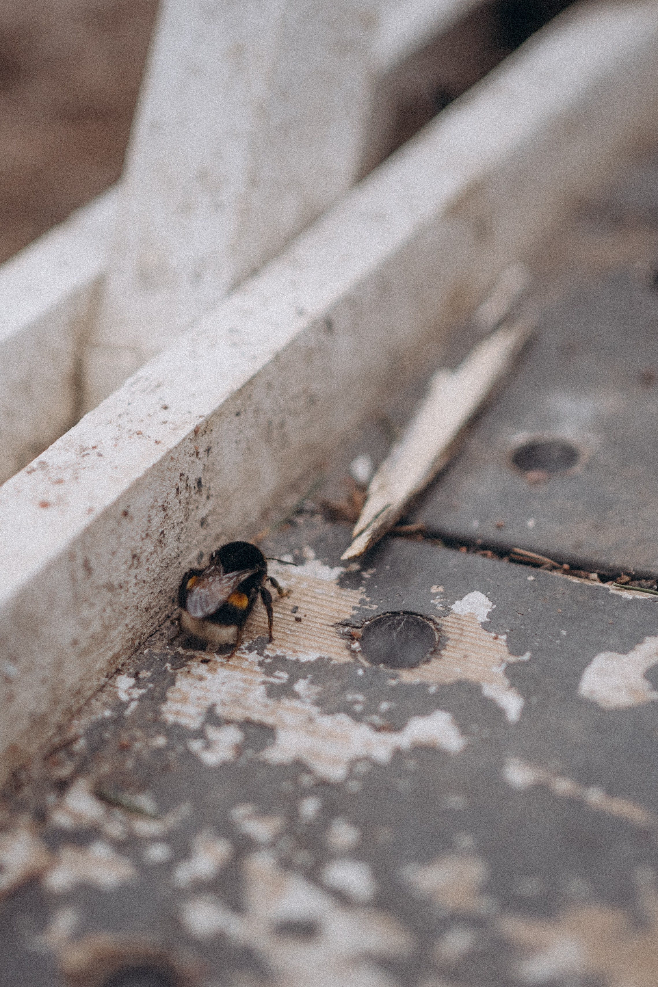 Прогулка в Переделкино. Семейный фотограф и видеограф в Москве