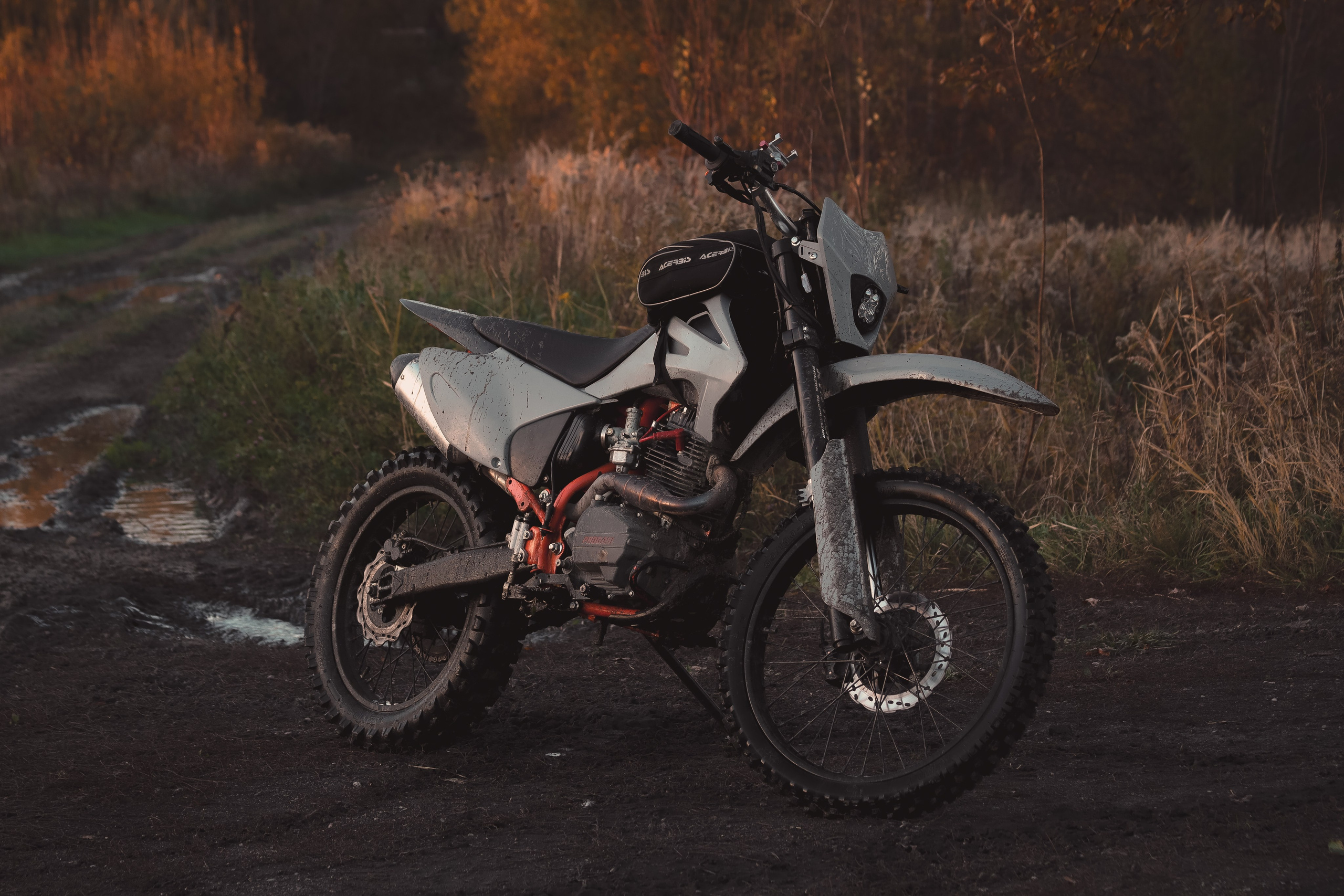 Никита П. (Daryl Dixon). — Digital Noise —