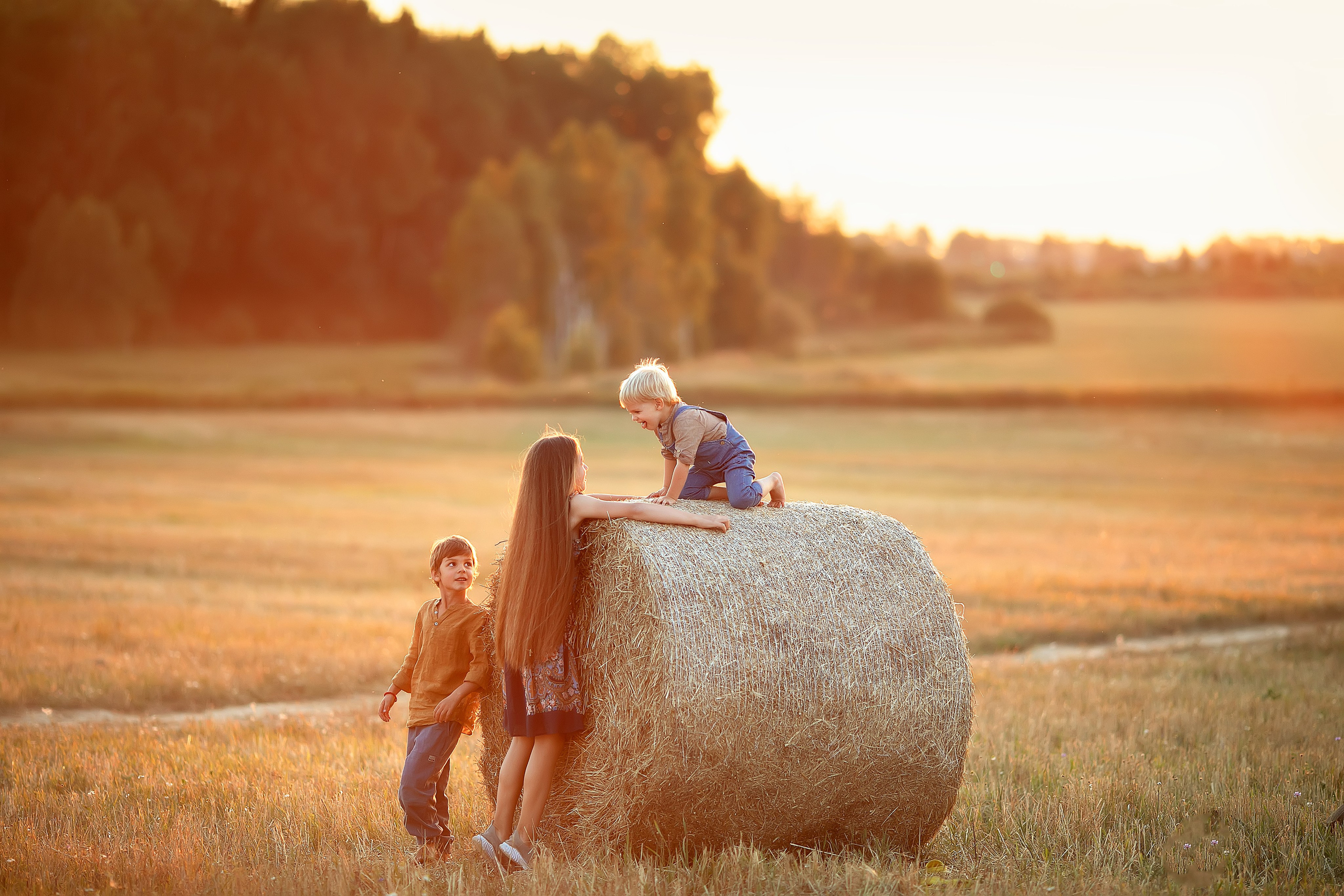 Колоски. Главная