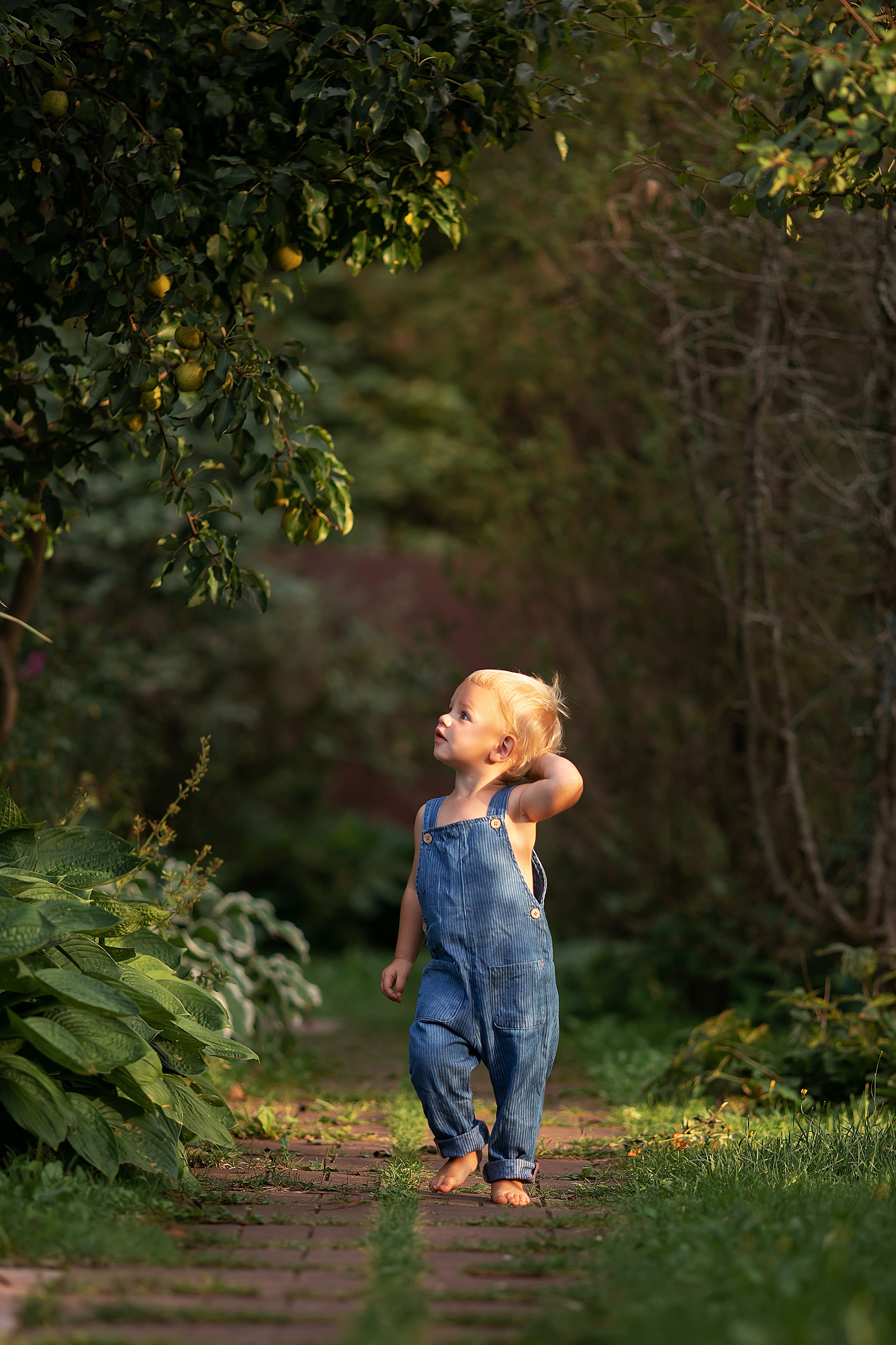 Лето. Главная