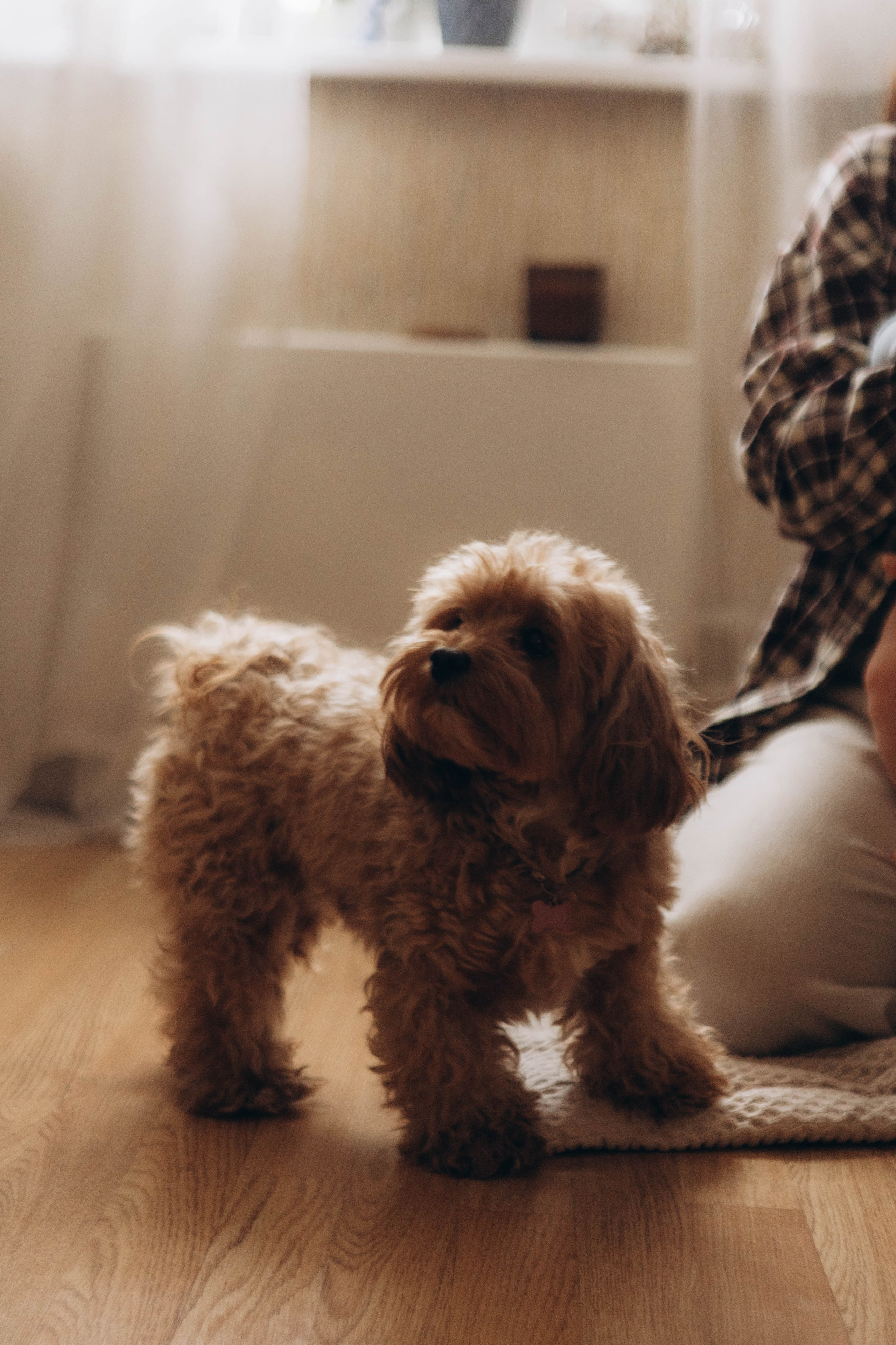 Георгий. Наталья Косьянова. Ваш фотограф. Москва