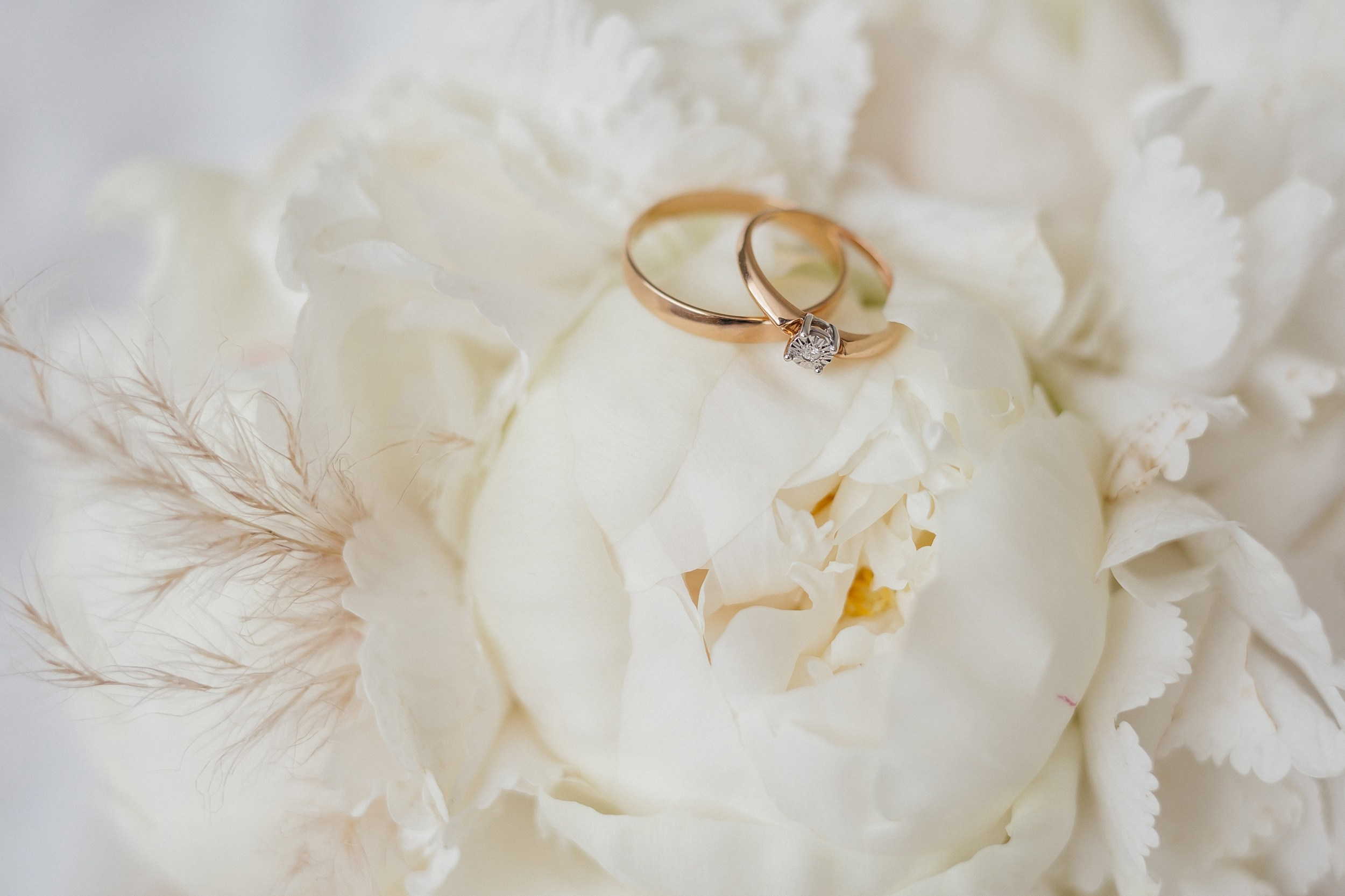 Сергей ♡ Наталья. Валентина Ливенцева семейный фотограф