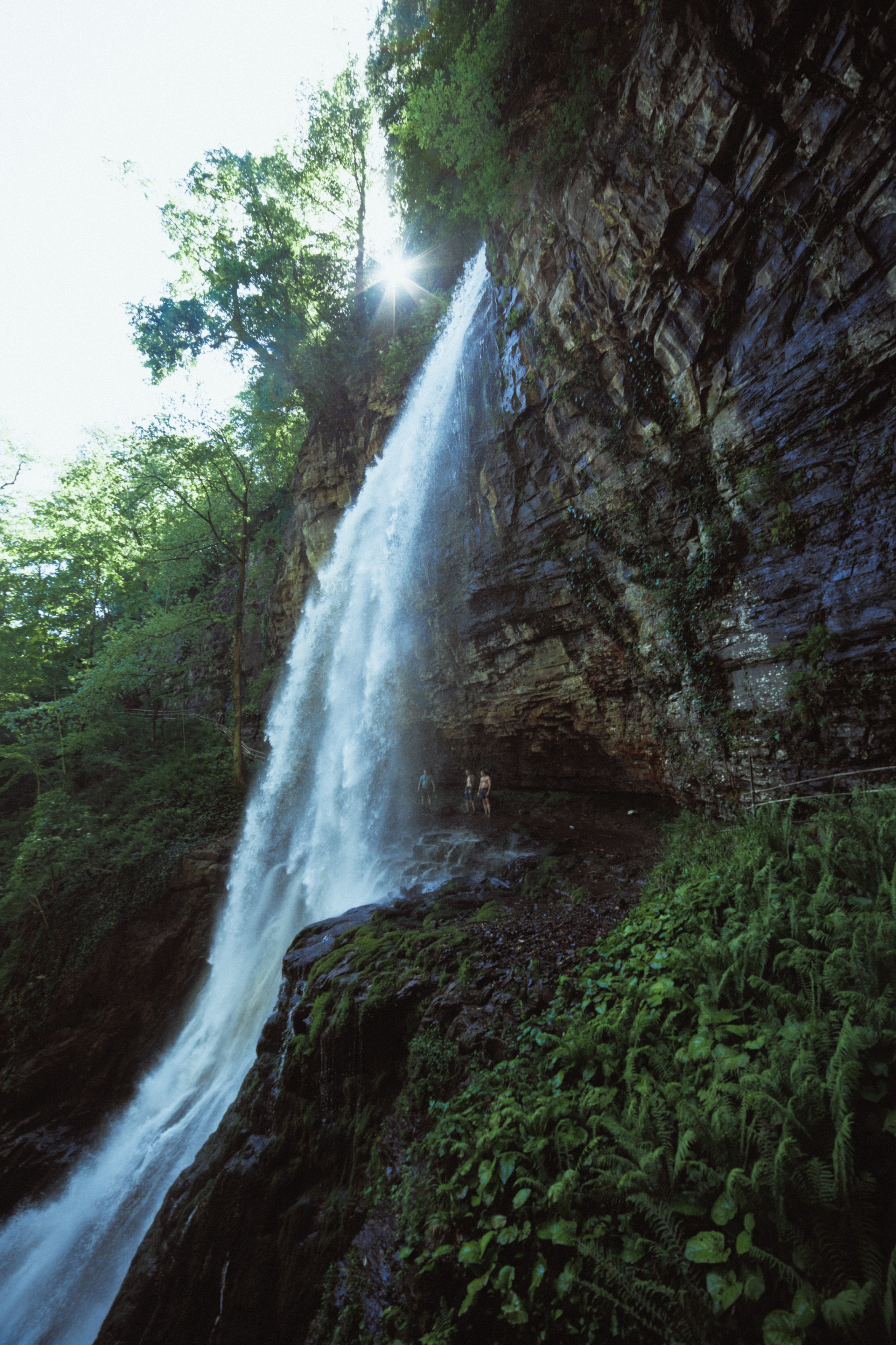 Nature. Артем Корнев Фотограф