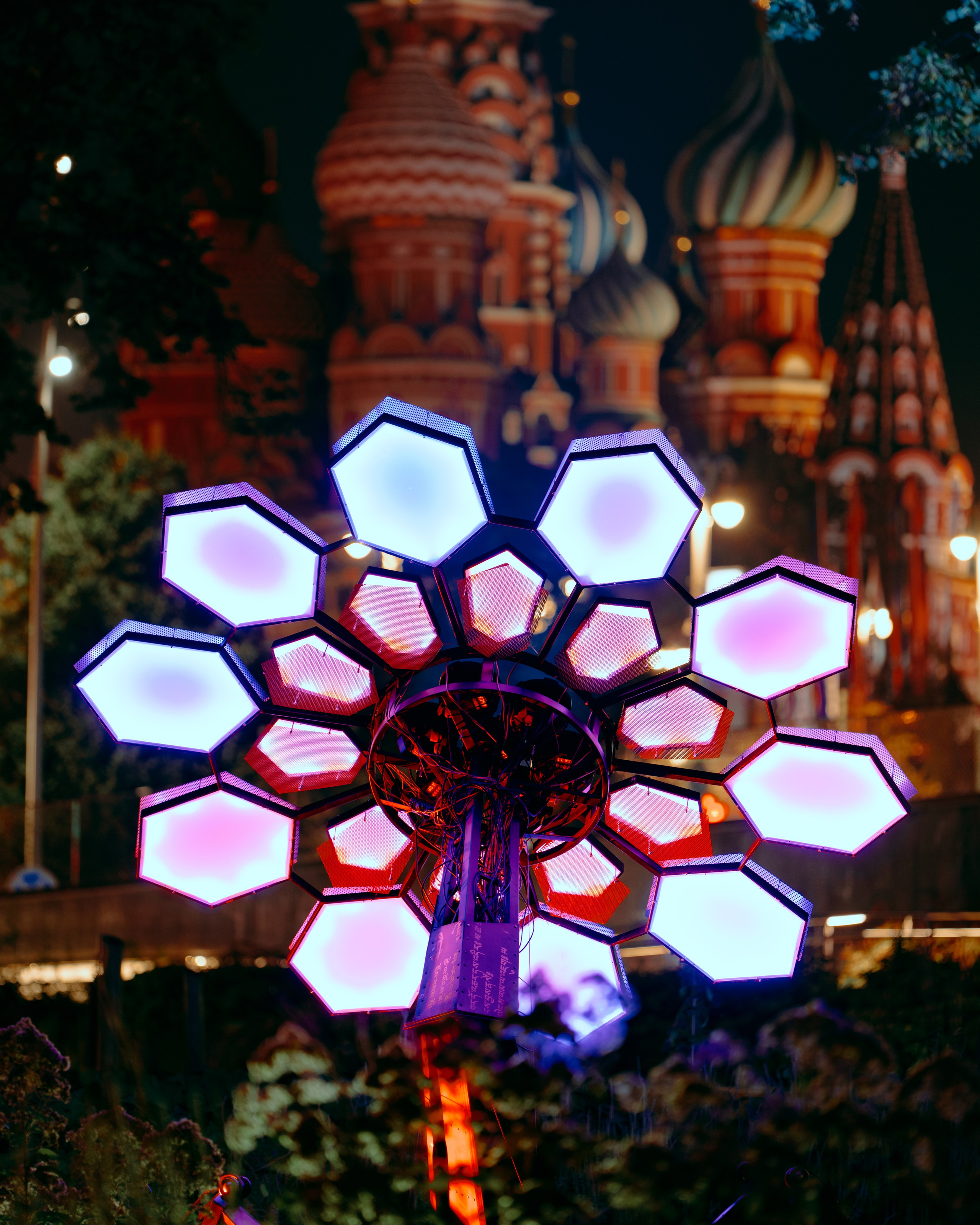 PANTERRA, Cyber Flower. @tomrus: Рустам Шагиморданов — фотограф