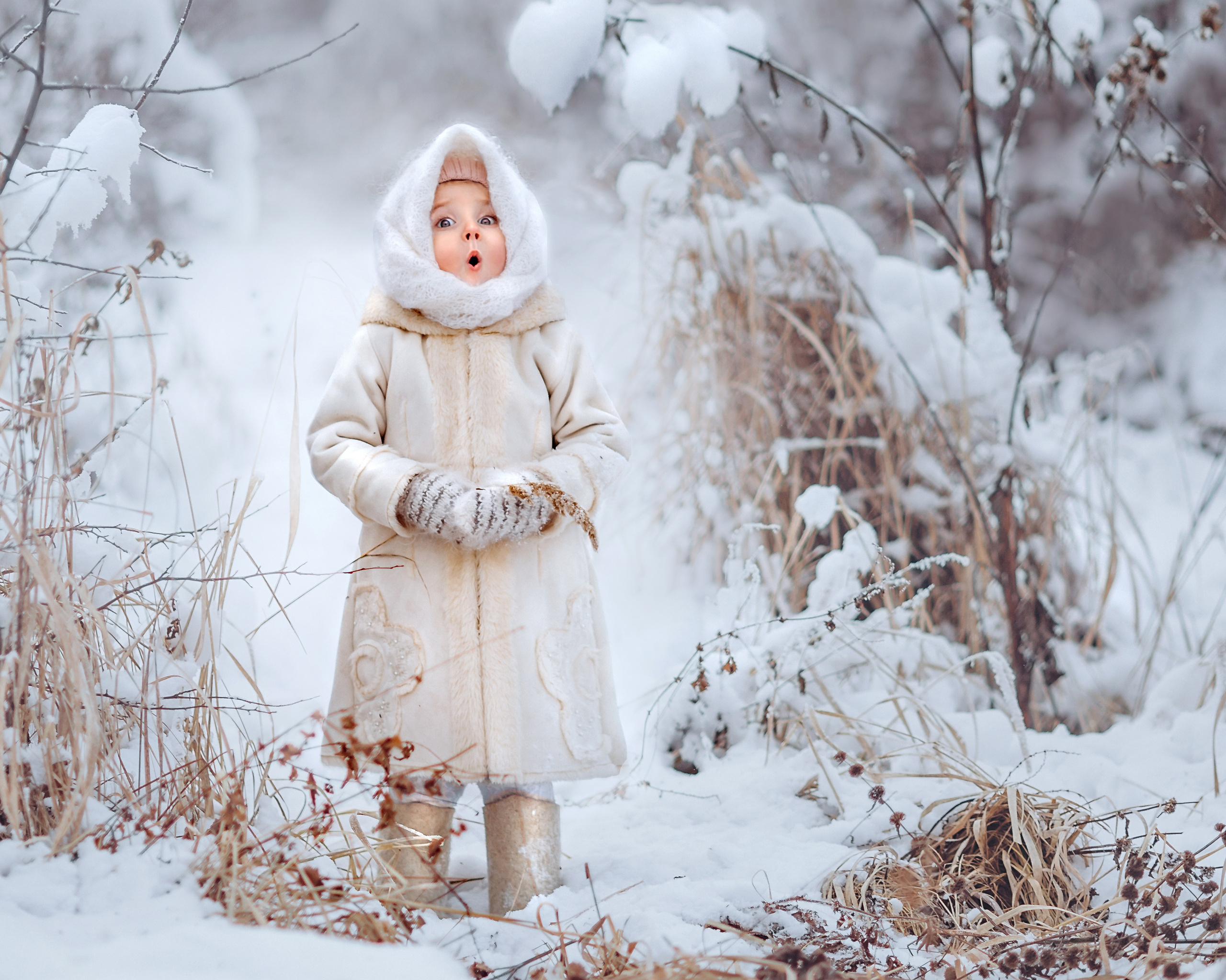 Сказочная съемка. Иллюстратор, Фотограф, Теддист Ольга Сальманович