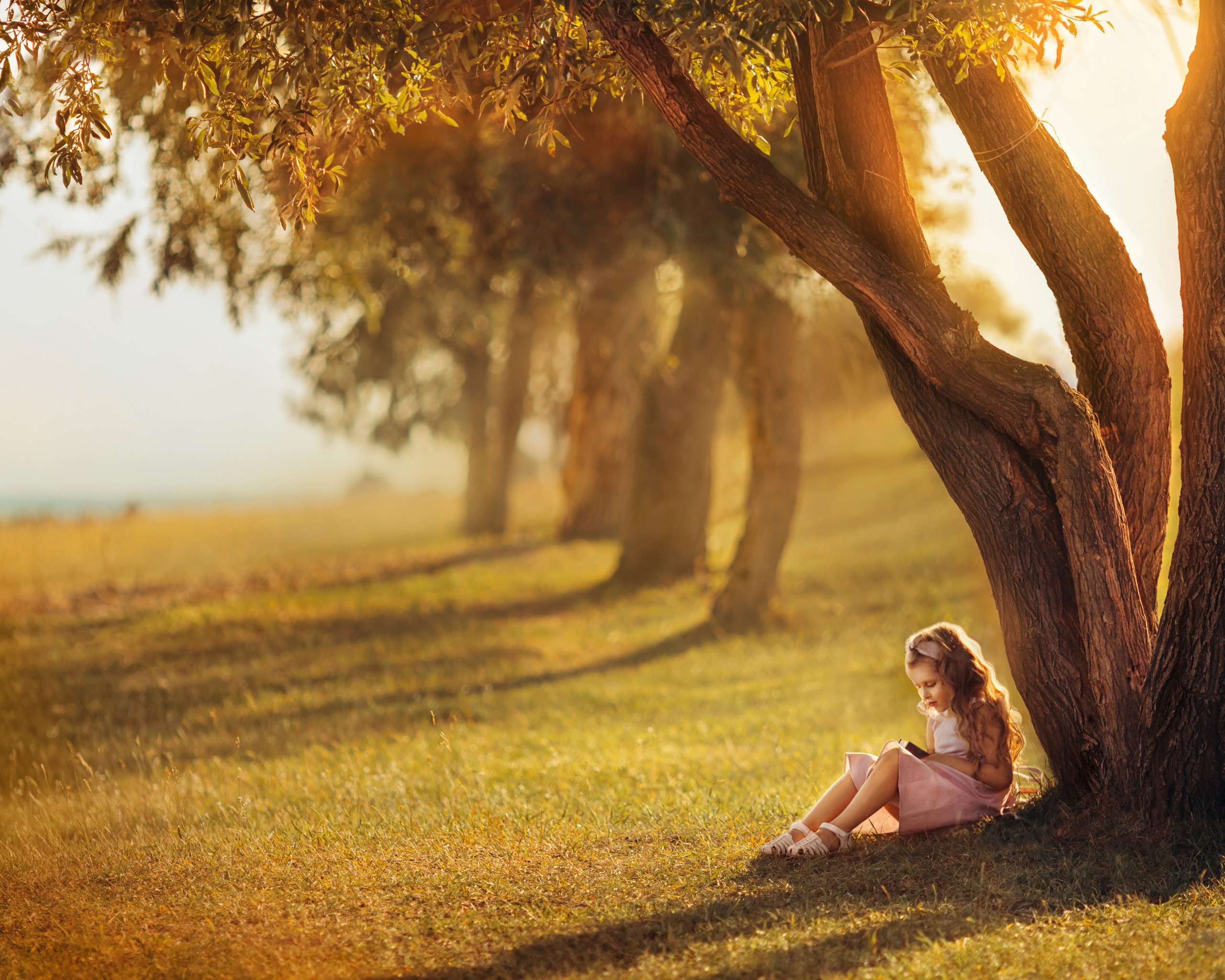 Сказочная съемка. Иллюстратор, Фотограф, Теддист Ольга Сальманович