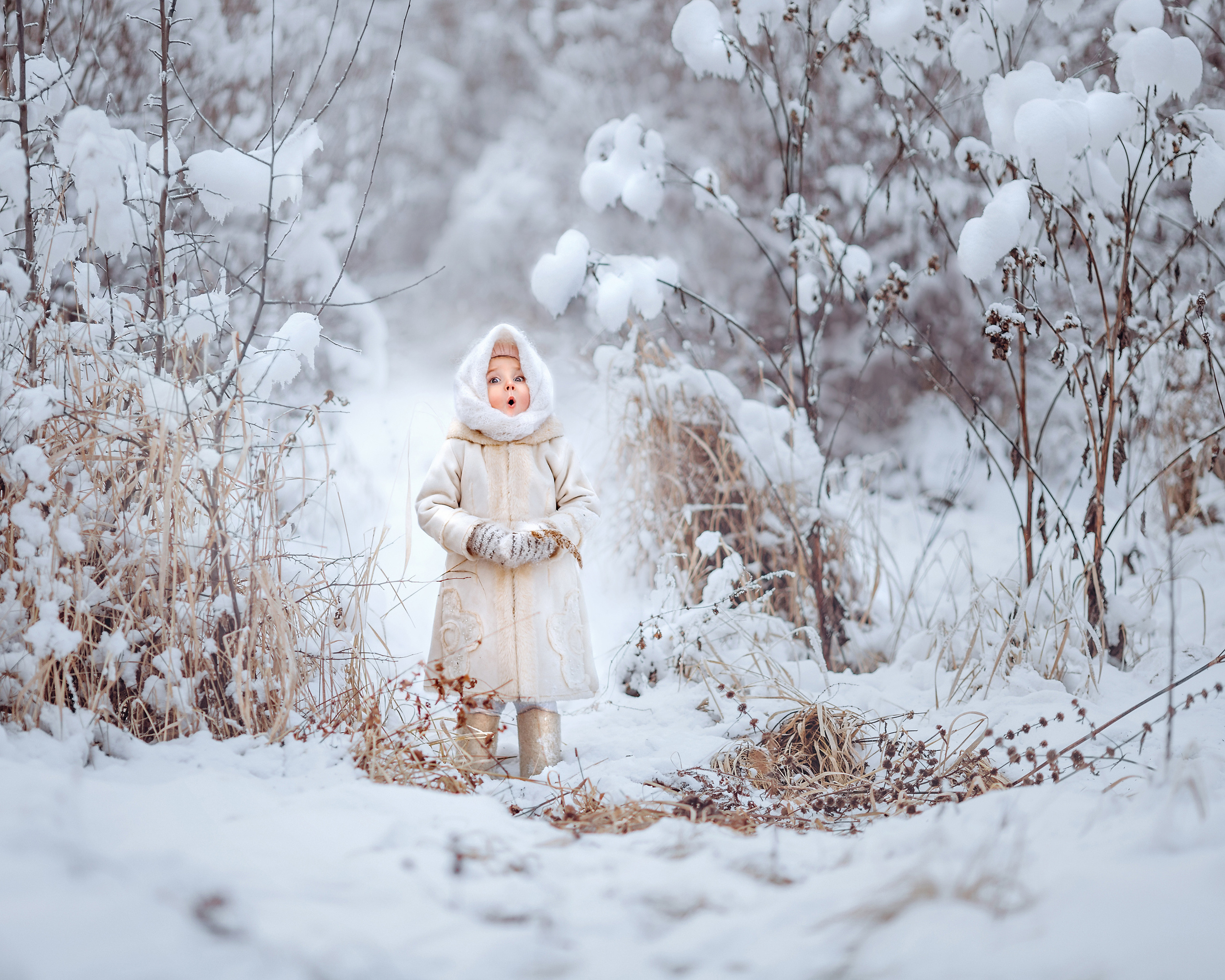 Фото. Фотограф Ольга Сальманович