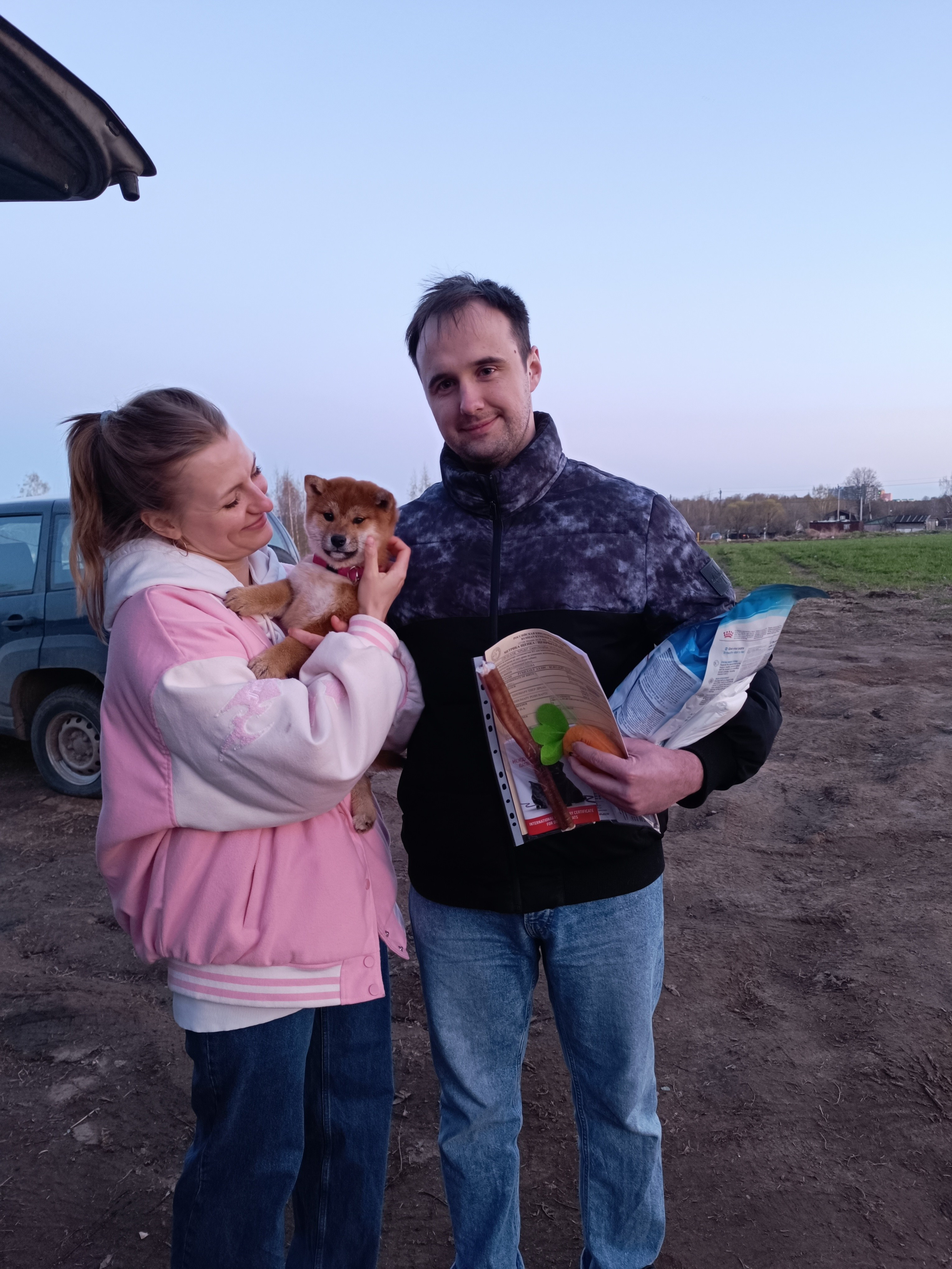 Сиба Rubylight Ellis питомник Рубилайт