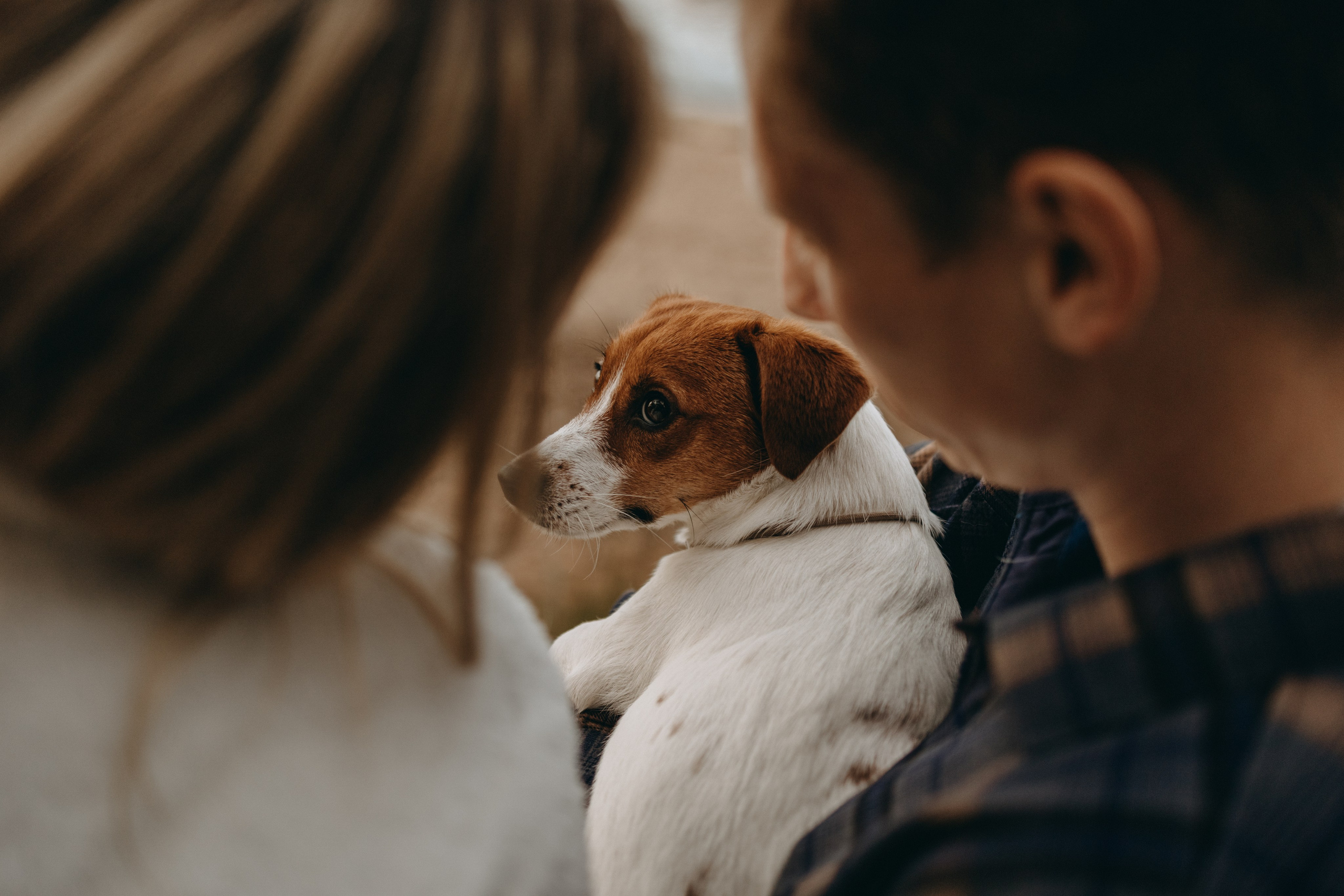 Лея и ее семья. Фотограф — Анималист | Санкт-Петербург