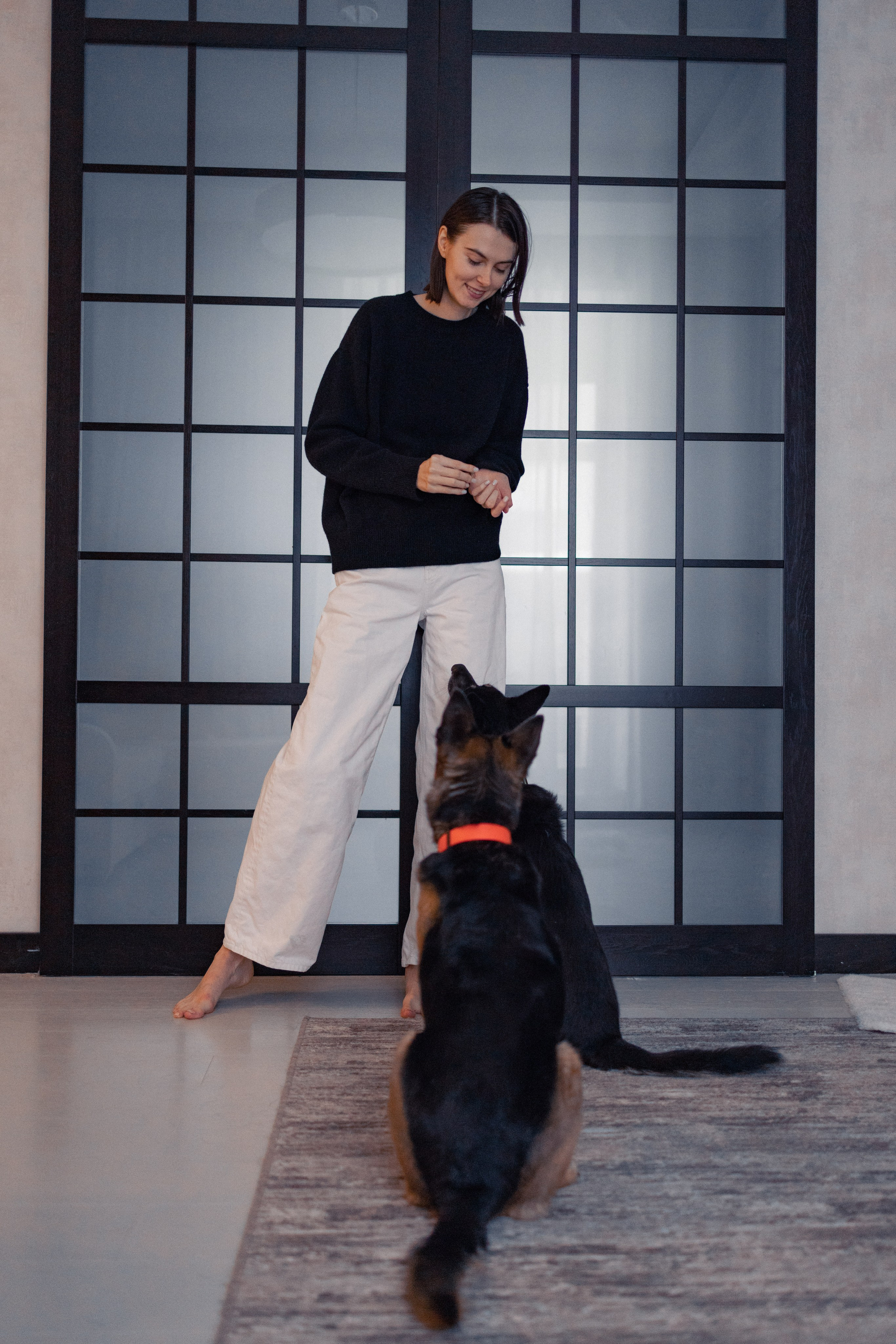 Ника, Матиша и Герда. Фотограф-анималист в Москве Лера Черноног