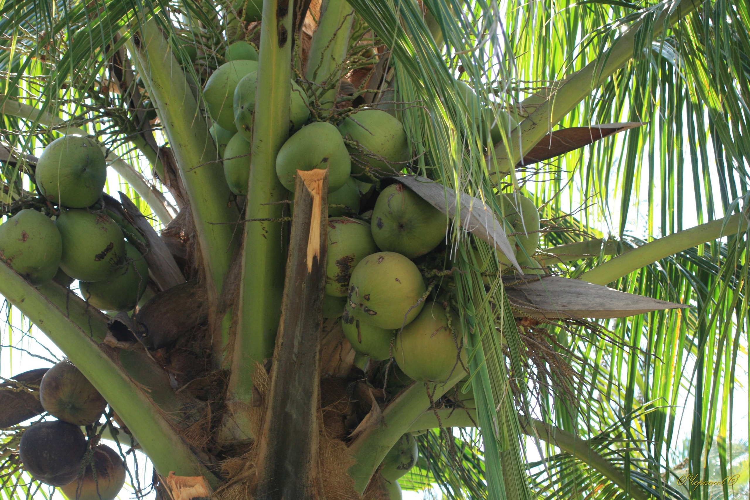 Вьетнам 2008 г. Улица, люди, жизнь…