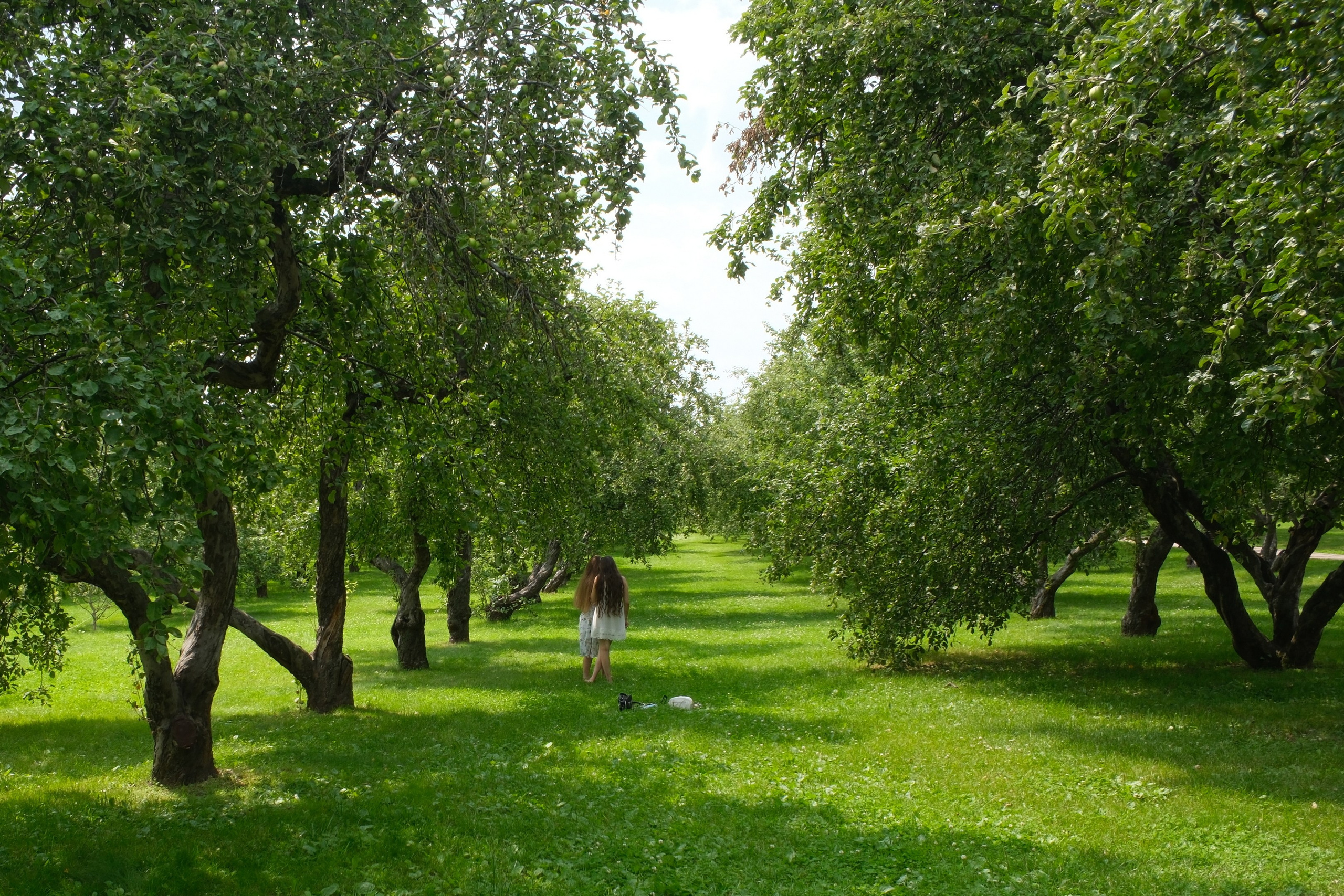 В Коломенском 07.07.2025. Улица, люди, жизнь…