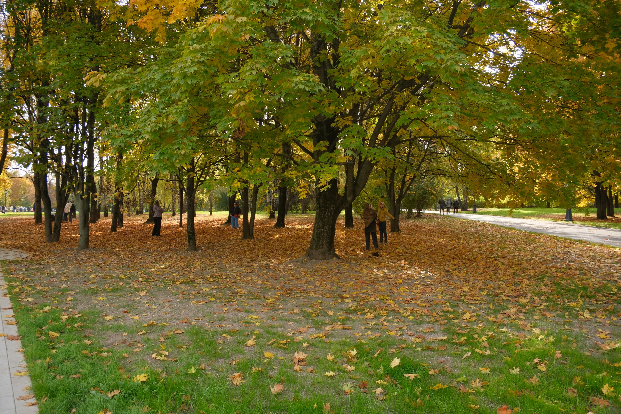 Коломенское 04.10.2025. Улица, люди, жизнь…