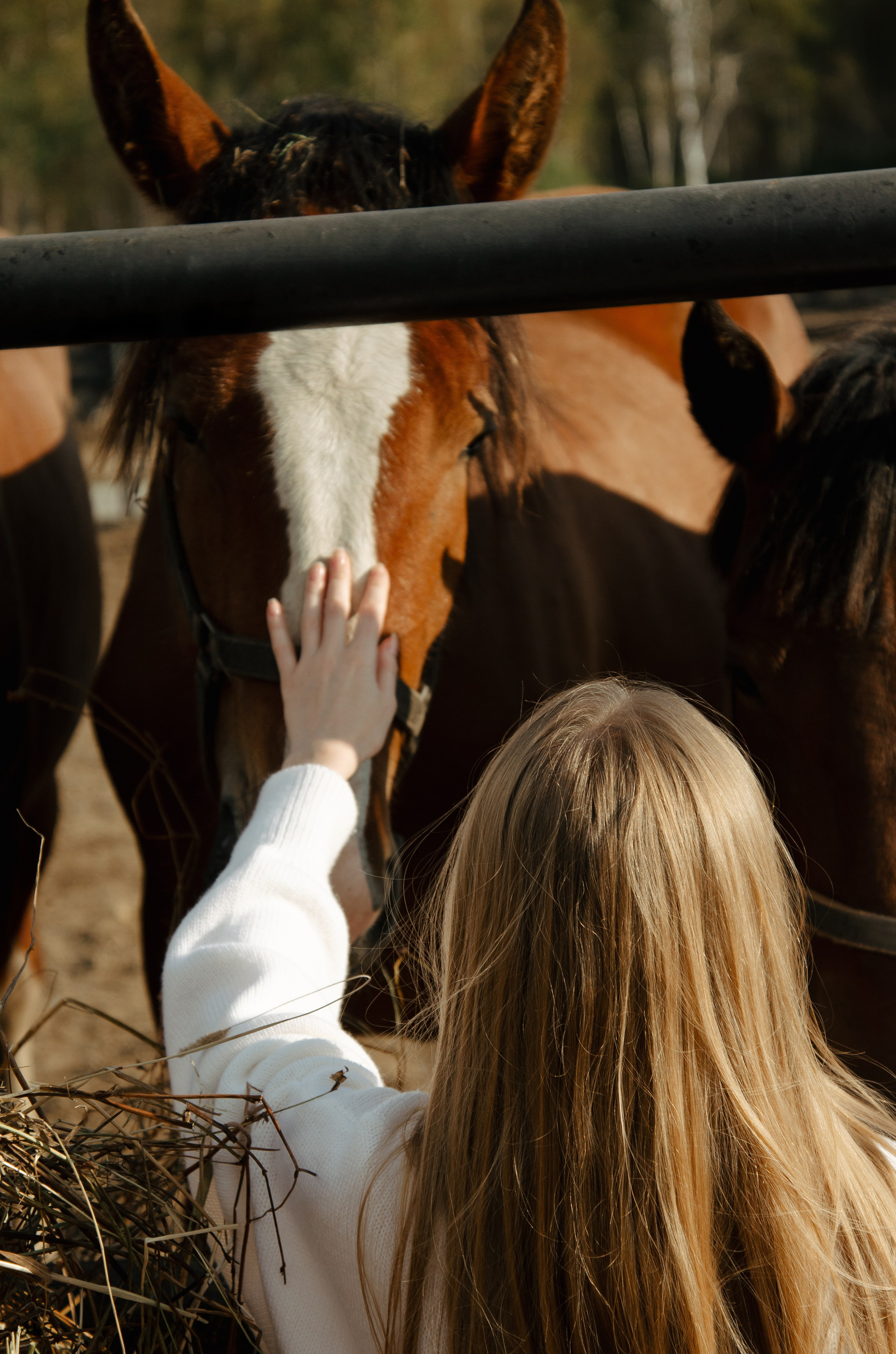 Дом-музей лошадей Хуторъ. Фотографы в Тюмени Андрей и Лидия Войвод