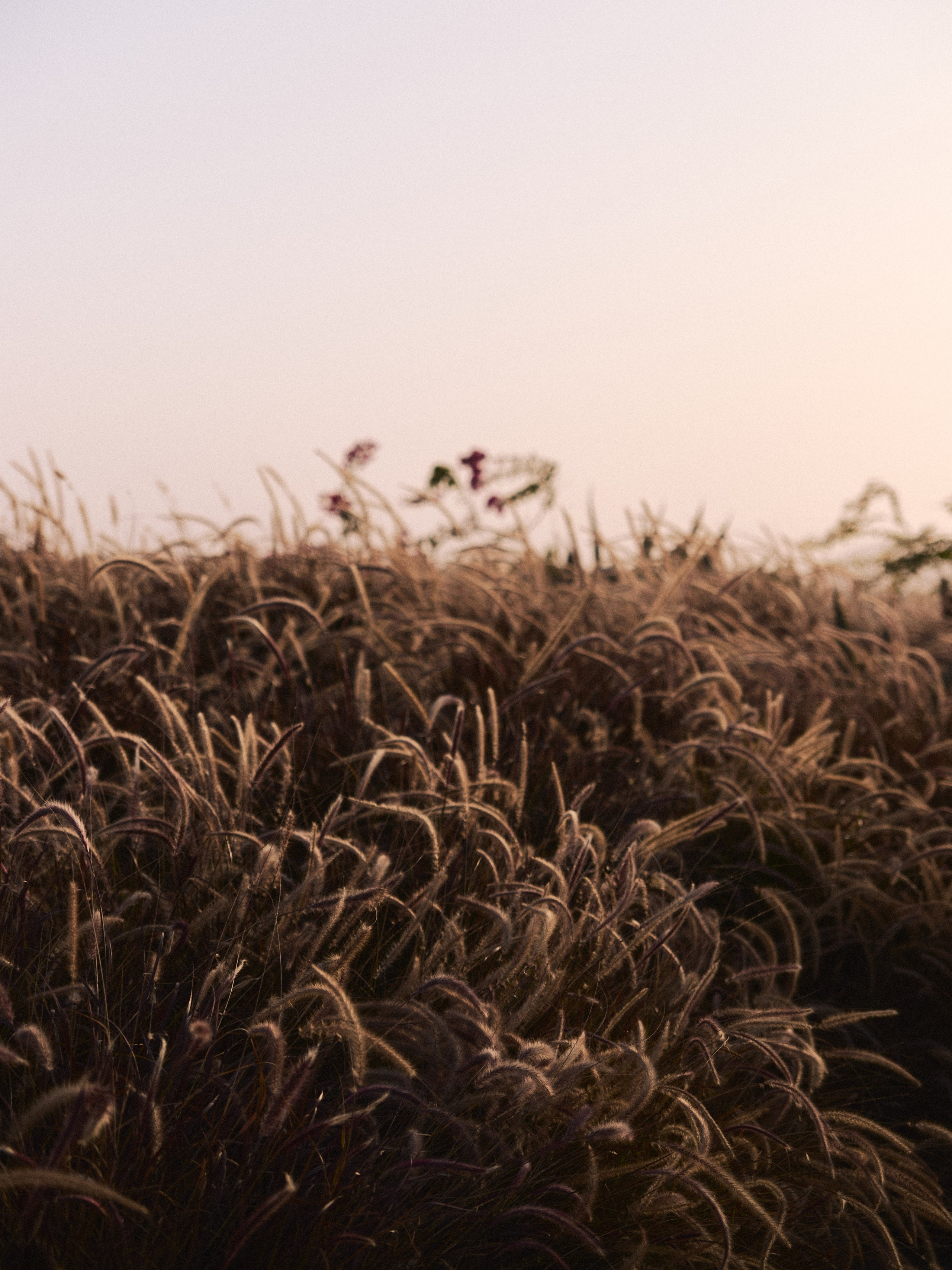 Природа. Jorgis Talè — photographer, kind person, teacher of arts and other mag